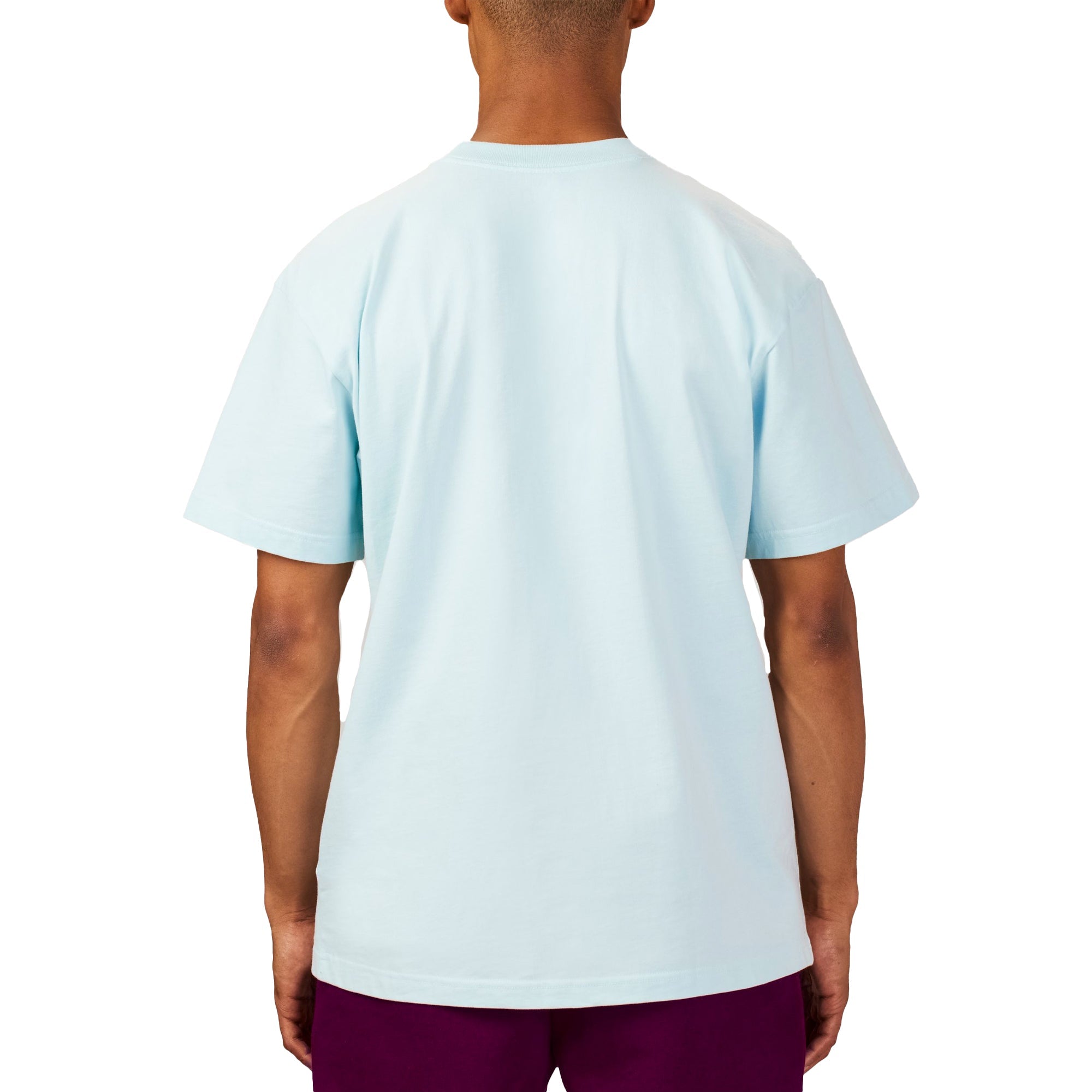 XX Kaws Mens Ss Tee Ice Blue The north face – Гарантія оригінальності – детальний вид