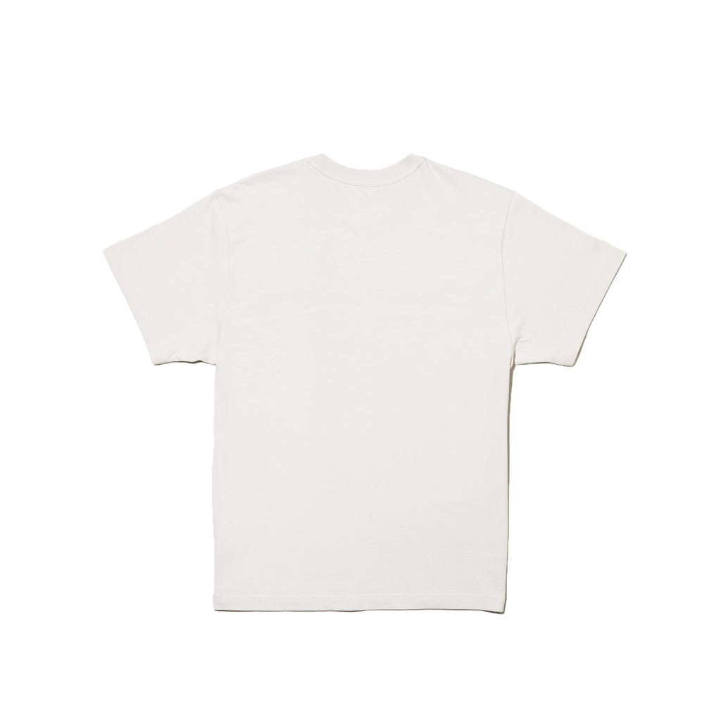 X Kaws Ss Tee The north face – Гарантія оригінальності – вид ззаду