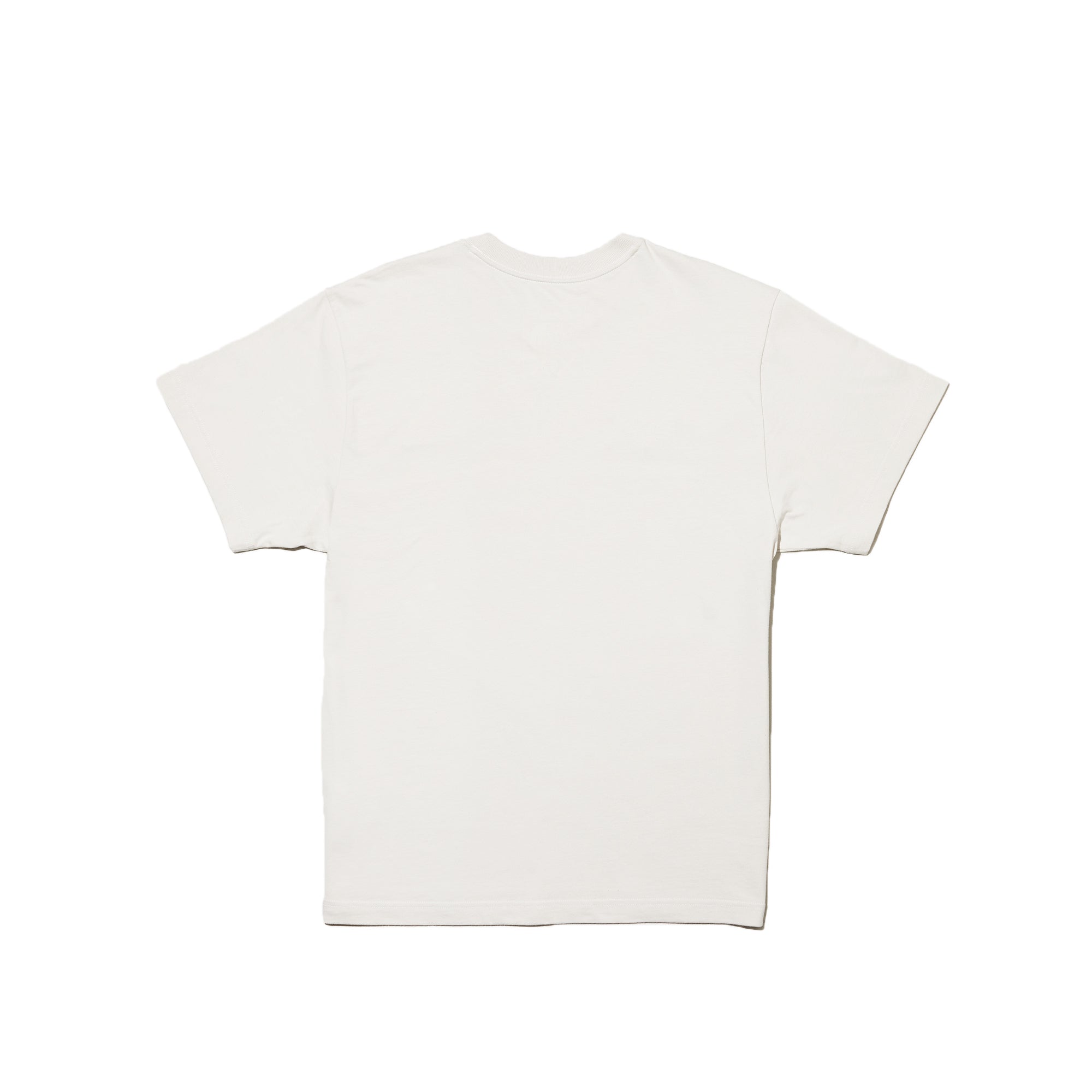 X Kaws Ss Tee The north face – Гарантія оригінальності – вид ззаду
