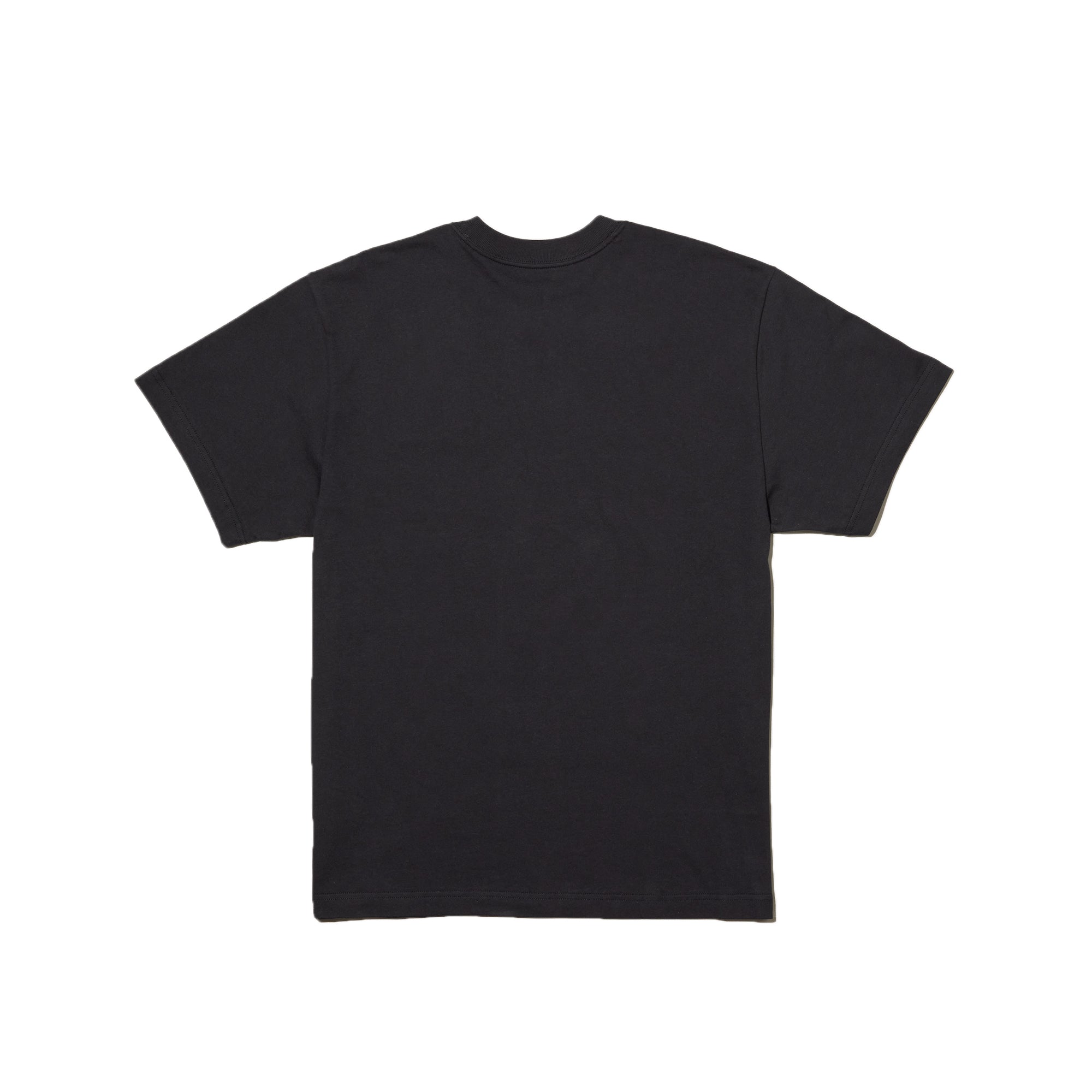 X Kaws Ss Tee The north face – Гарантія оригінальності – вид ззаду