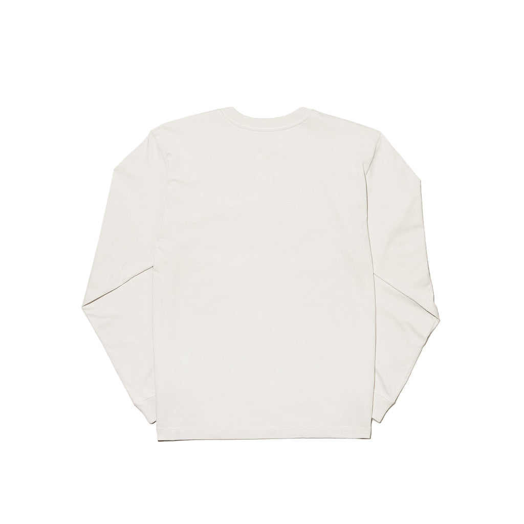 X Kaws Ls Tee The north face оригінал – Купити в Україні – вид ззаду
