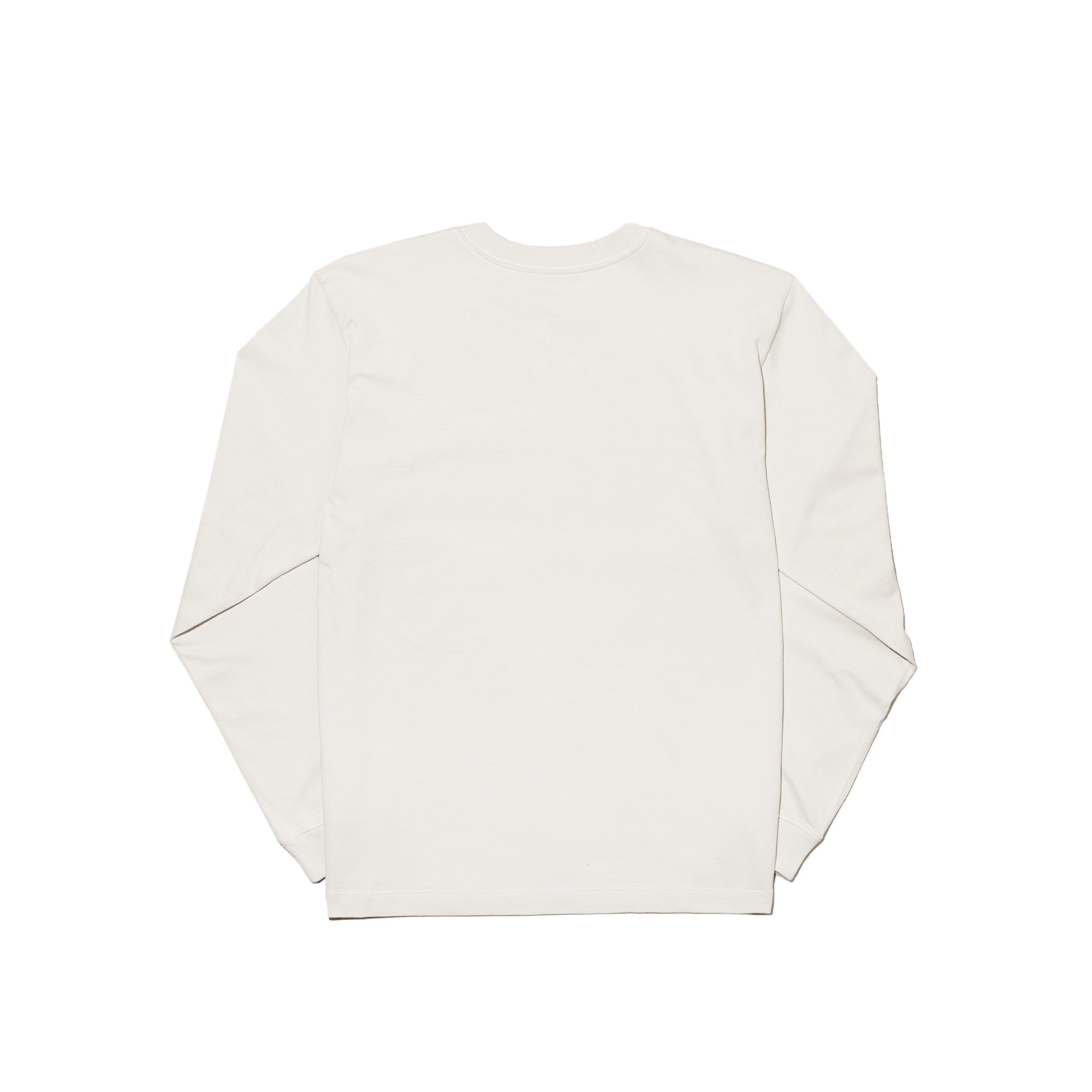 X Kaws Ls Tee The north face оригінал – Купити в Україні – вид ззаду