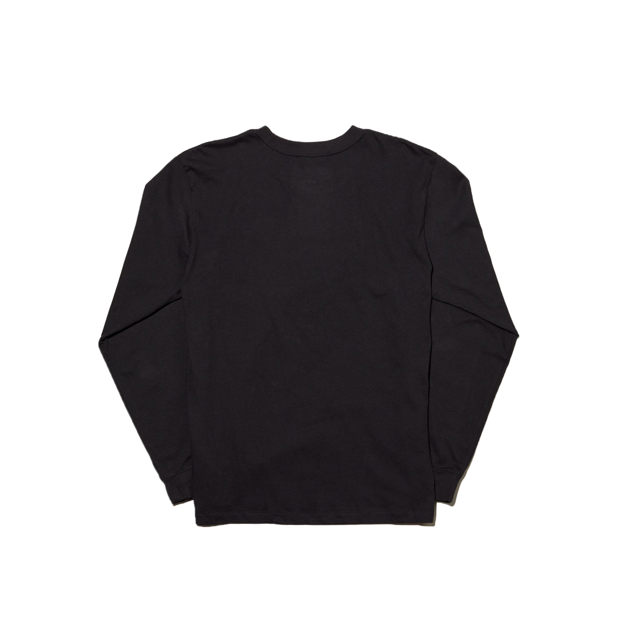 X Kaws Ls Tee The north face оригінал – Купити в Україні – вид ззаду