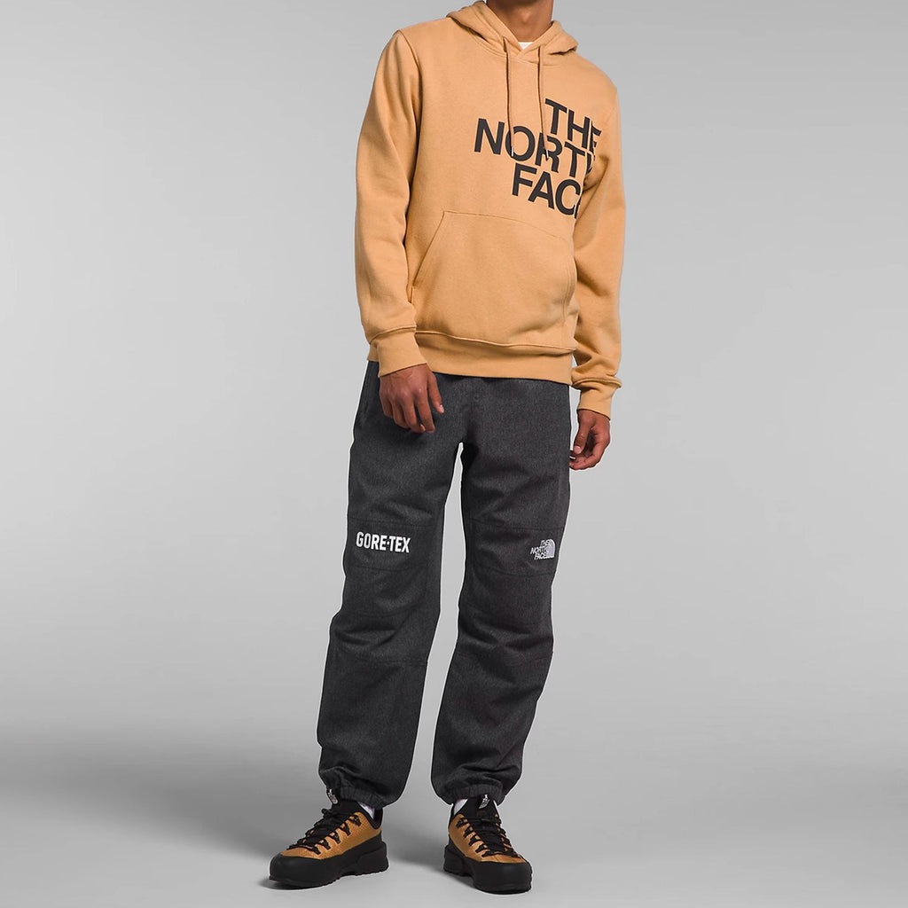 Mens Gtx Mountain Pants The north face – Гарантія оригінальності – вид ззаду