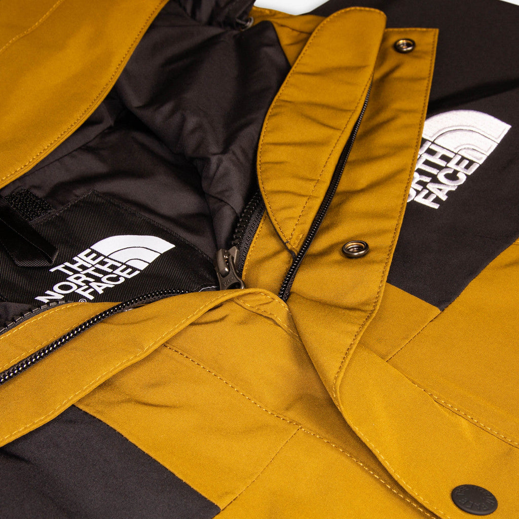 Gtx Mountain Jacket The north face оригінал – Купити в Україні – вид ззаду