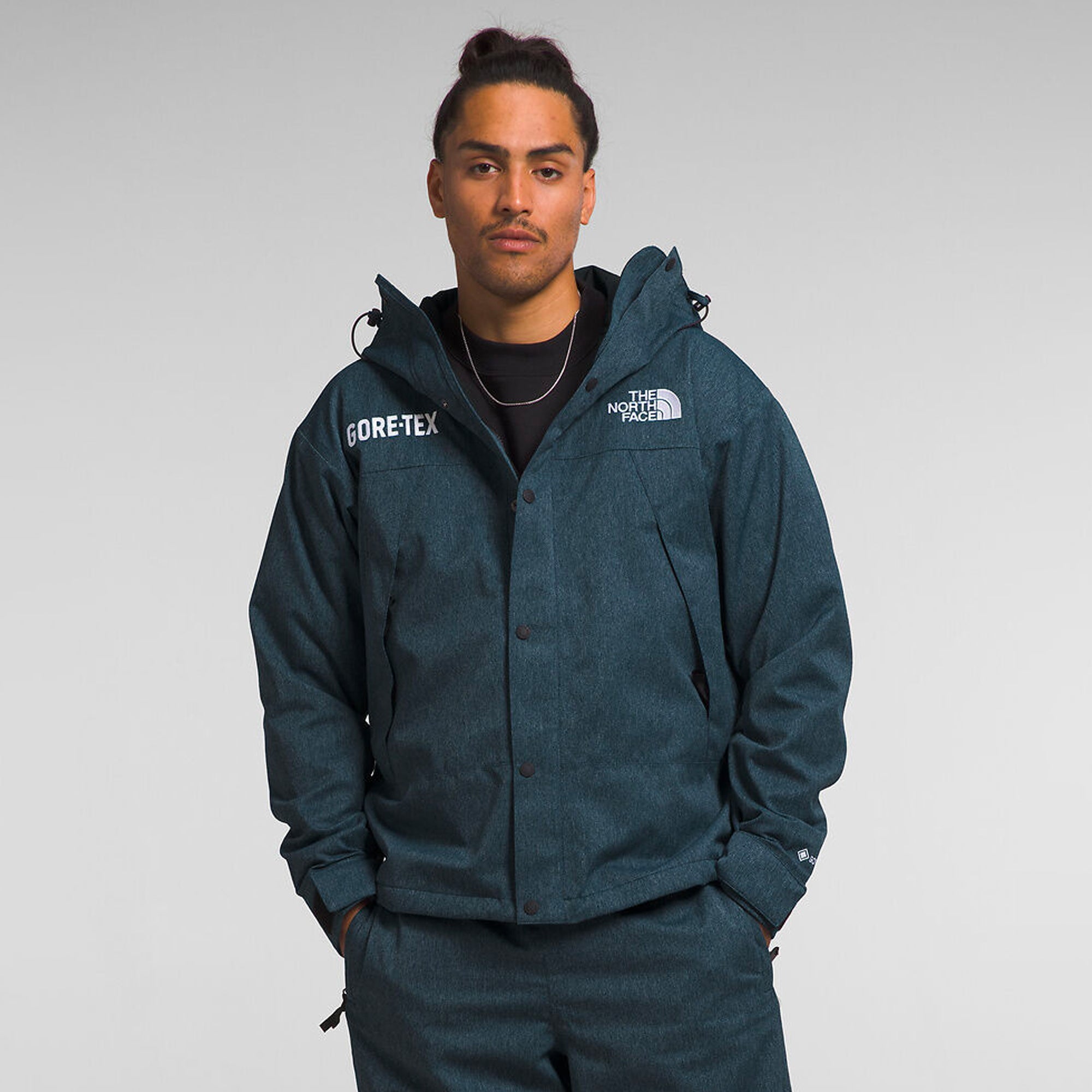 Оригінальна Mens Gtx Mtn Jacket The north face – вид ззаду