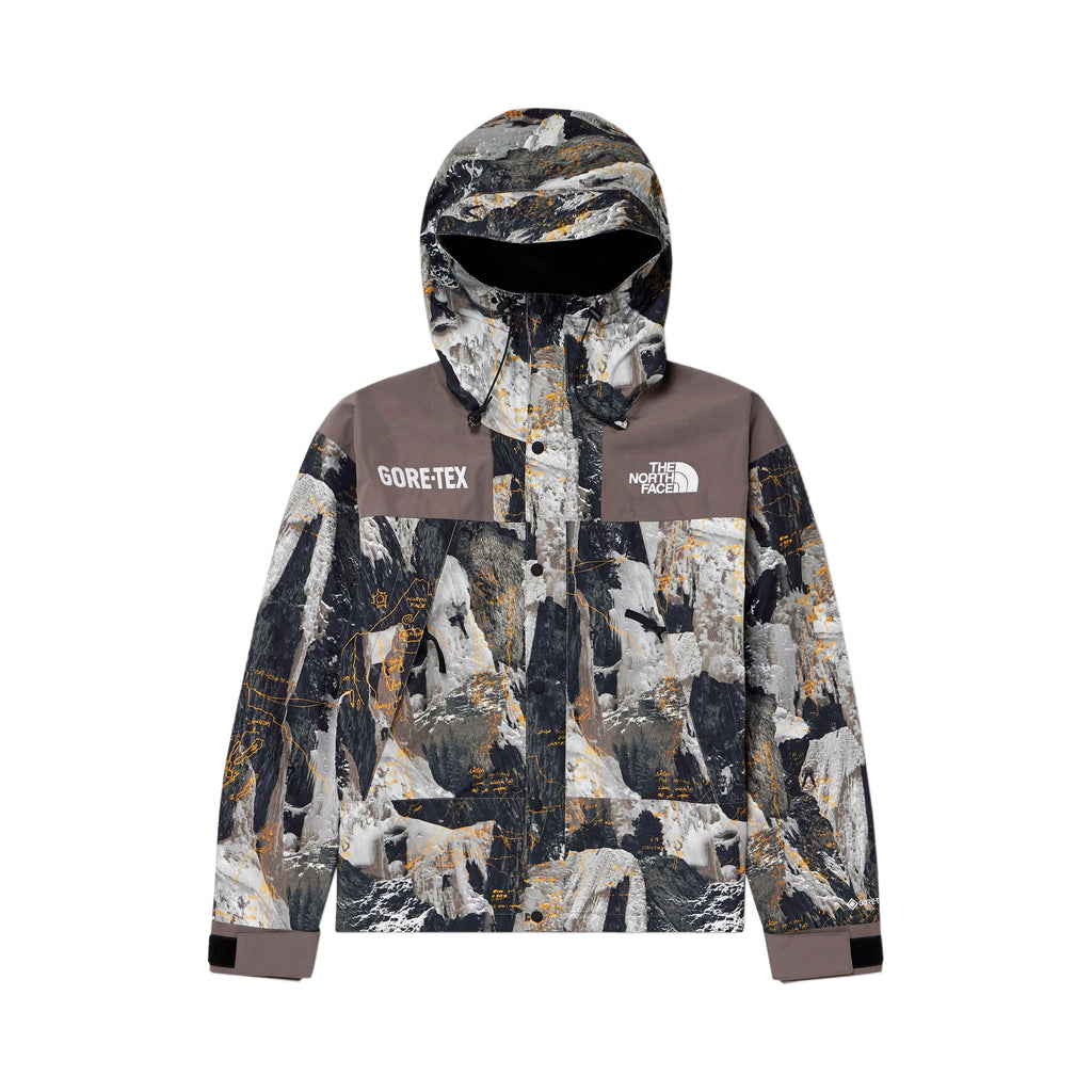 Оригінальна Mens Gtx Mtn Jacket The north face – боковий вид