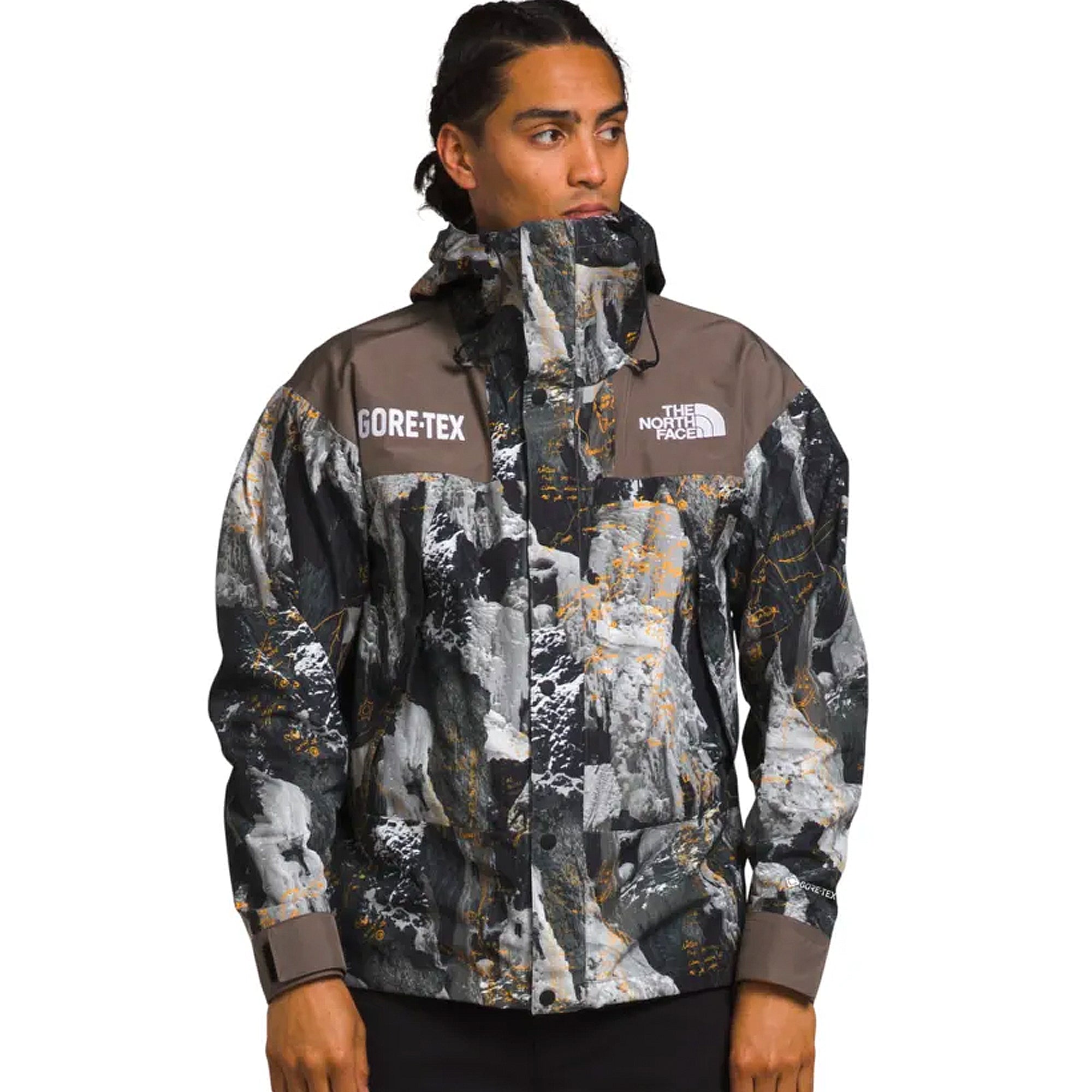 Оригінальна Mens Gtx Mtn Jacket The north face – вид ззаду