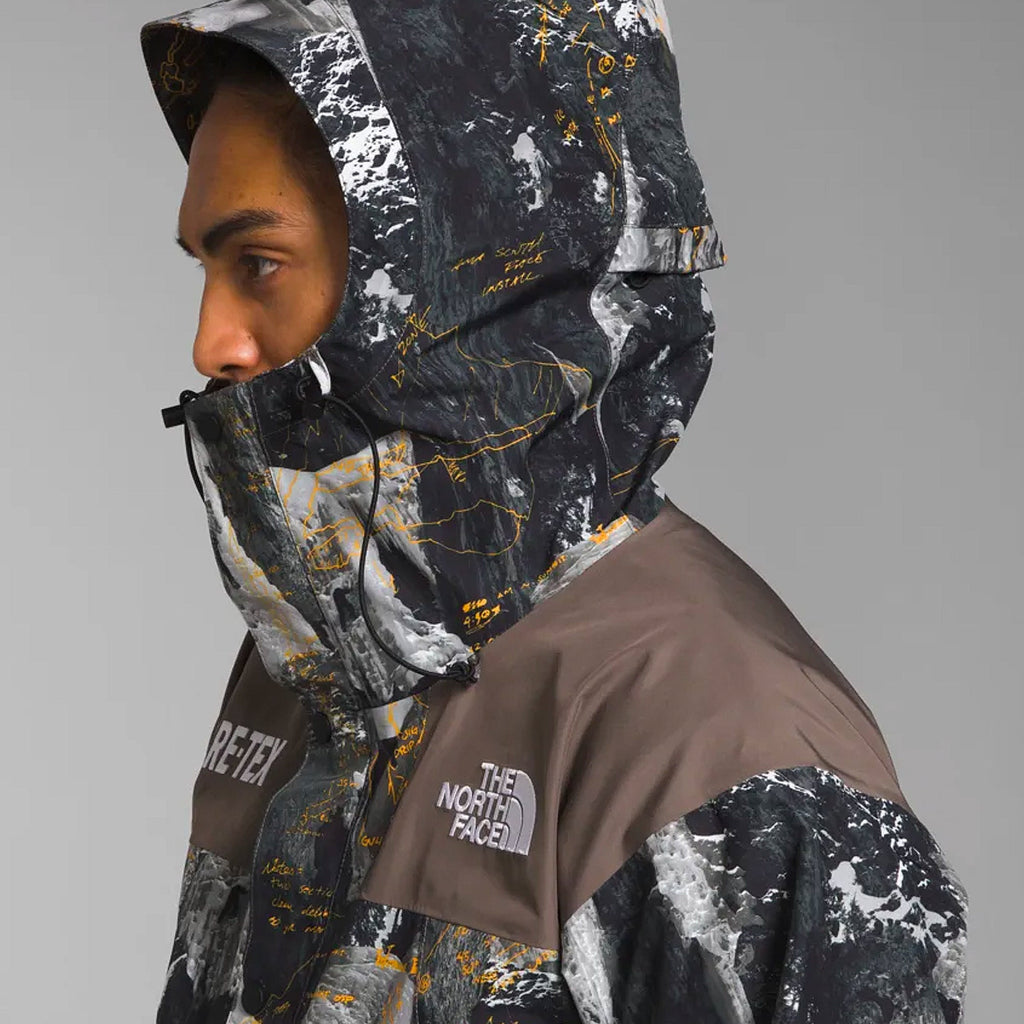 Оригінальна Mens Gtx Mtn Jacket The north face – збільшений вид