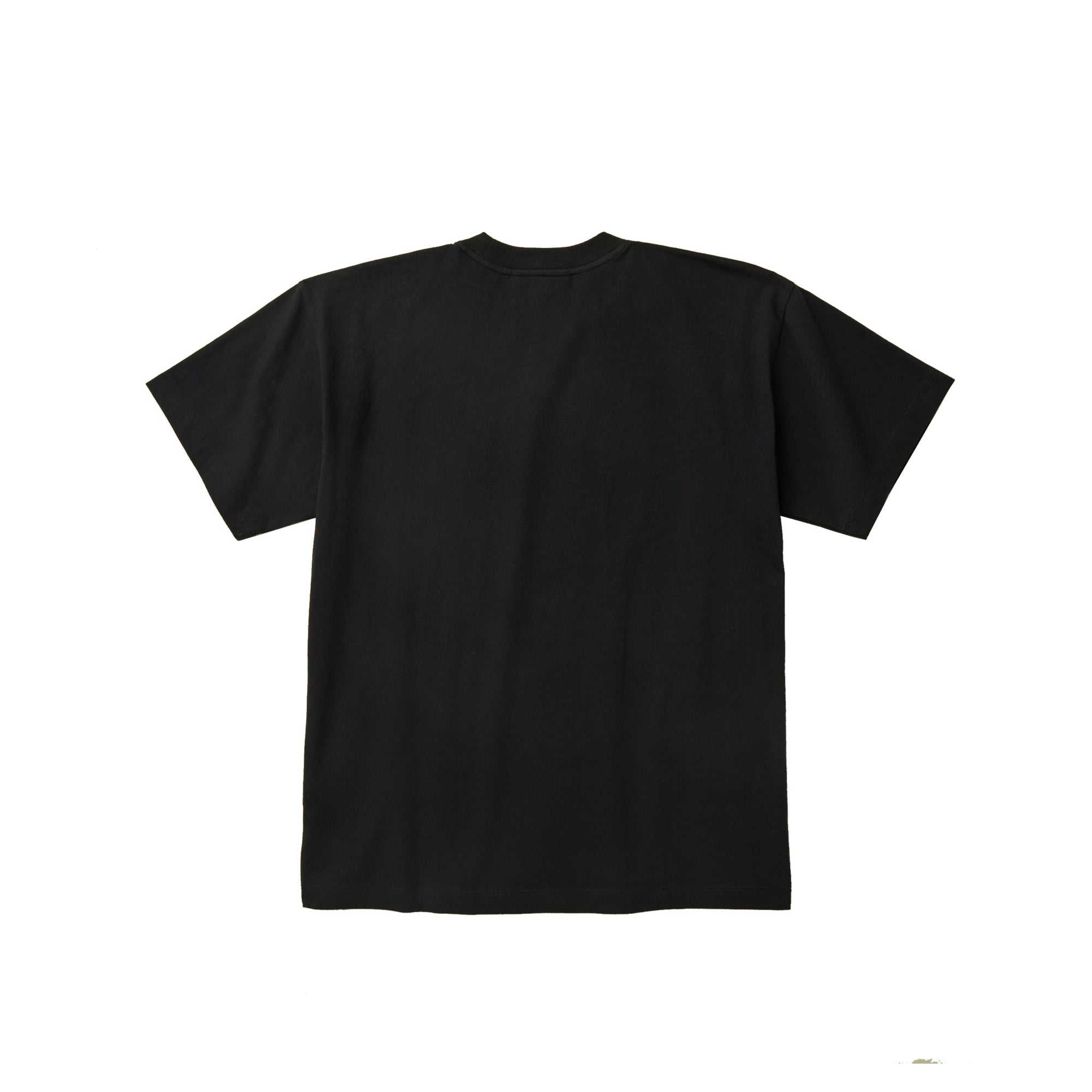 X Online Ceramics Mens Ss Tee The north face оригінал – Купити в Україні – вид ззаду