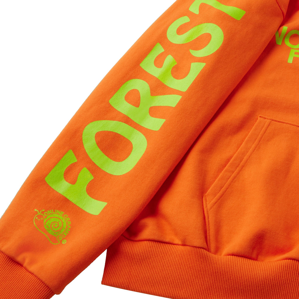 Оригінальна X Online Ceramics Mens Hoodie The north face – детальний вид