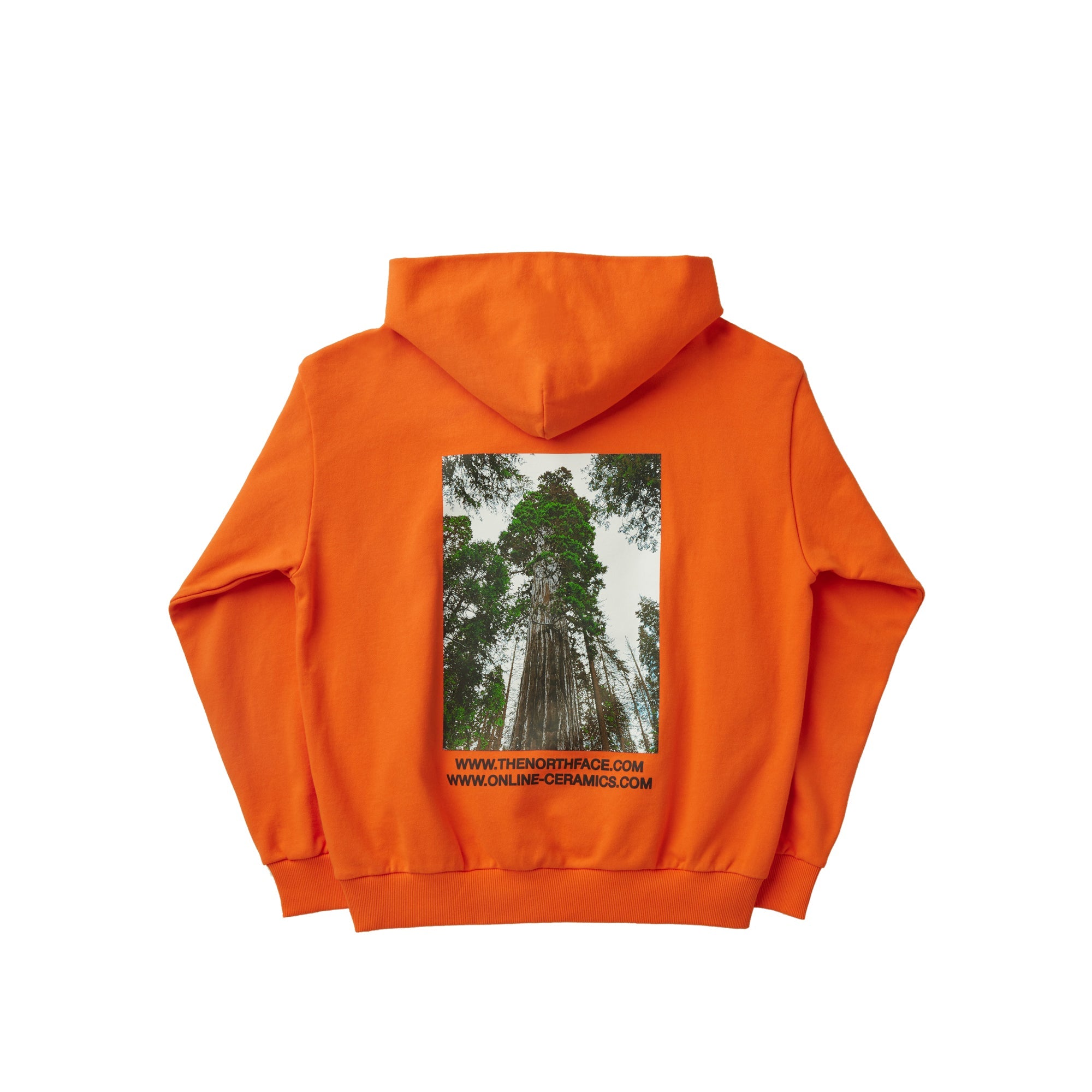 Оригінальна X Online Ceramics Mens Hoodie The north face – вид ззаду