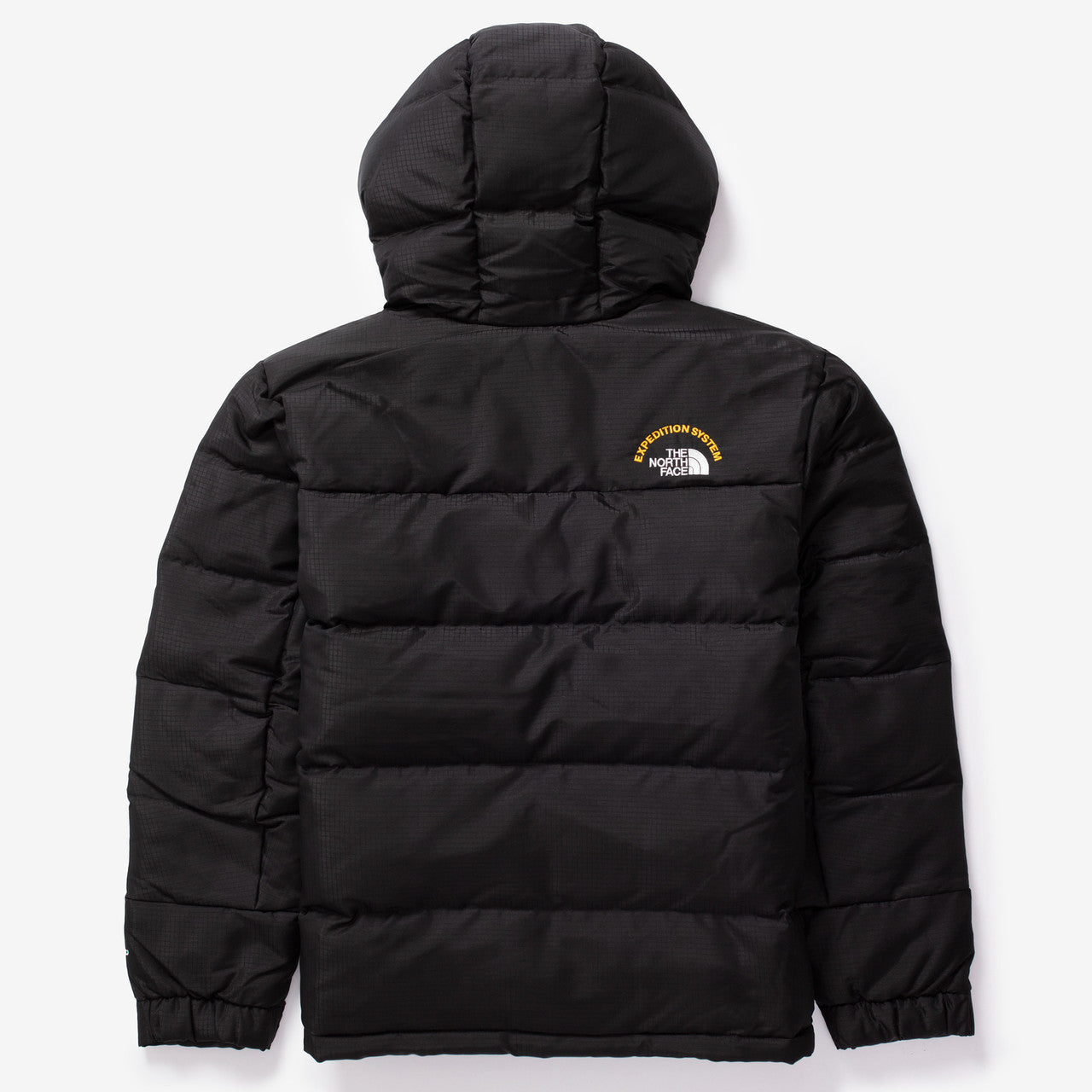 Оригінальна Hmlyn 30 Anniversary Parka The north face – вид ззаду