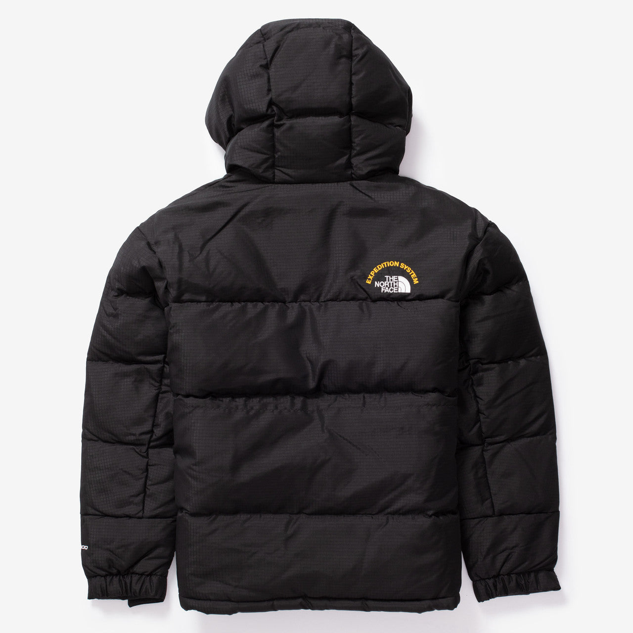 Wmns Hmlyn 30 Anniversary Parka The north face – Гарантія оригінальності – вид ззаду