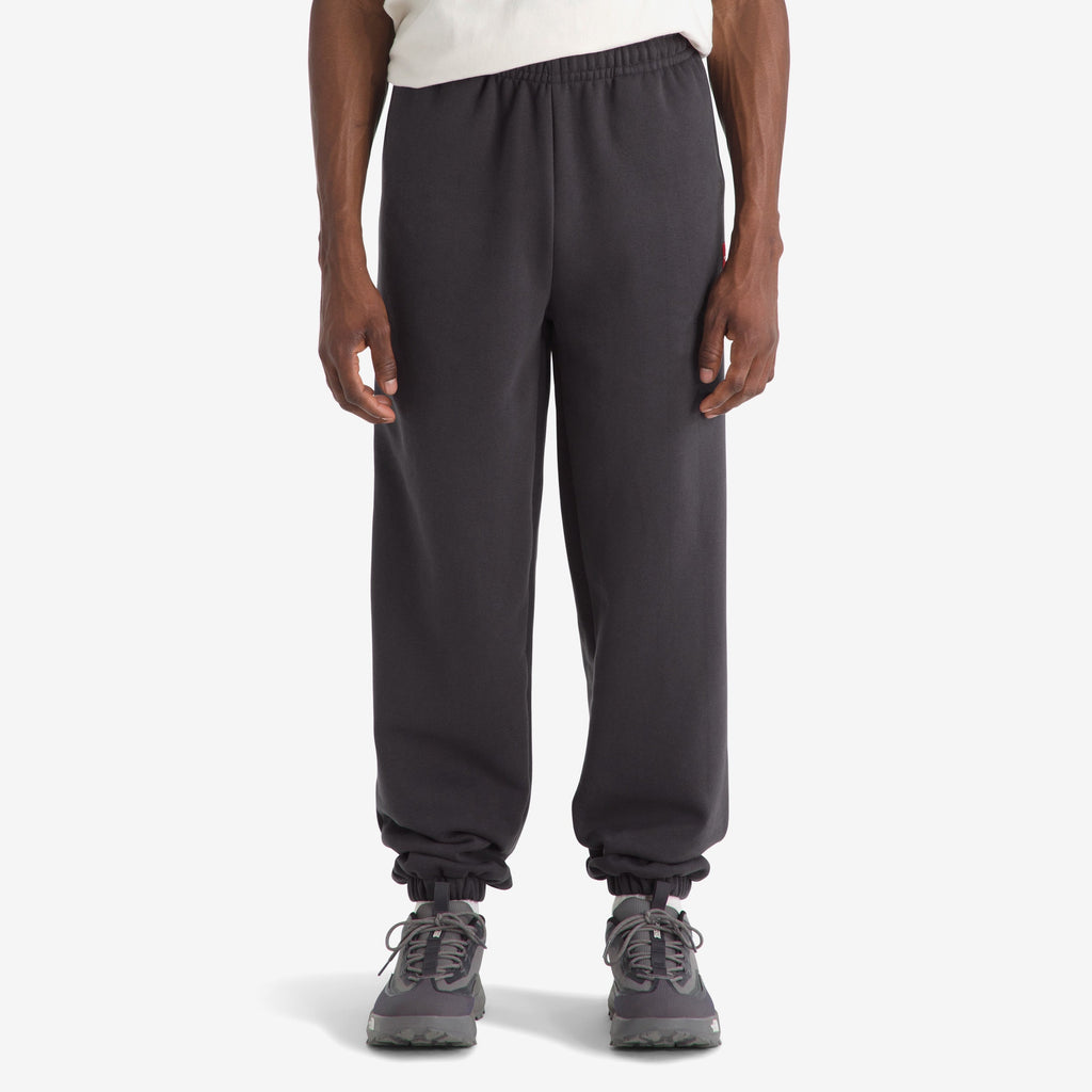 The north face Bottoms оригінал | Швидка доставка Україна – вид ззаду