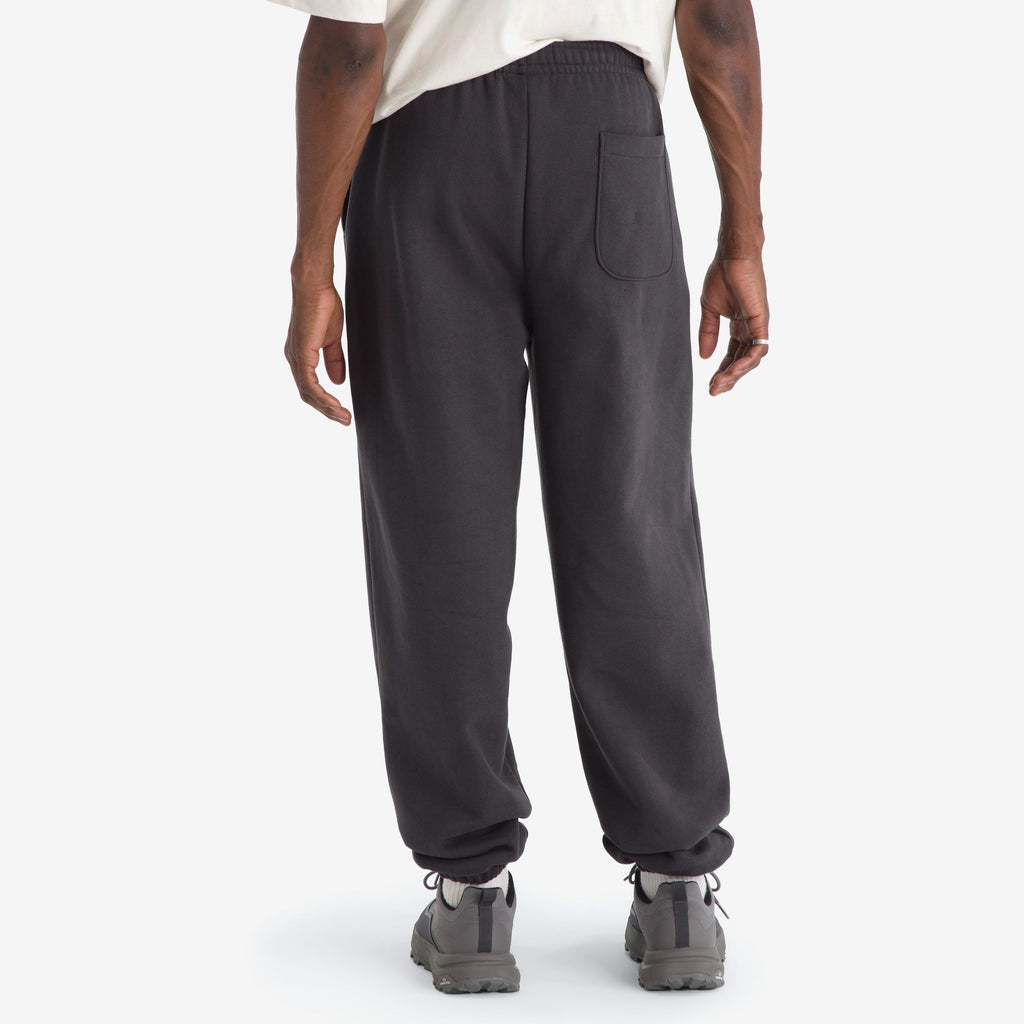 The north face Bottoms оригінал | Швидка доставка Україна – детальний вид