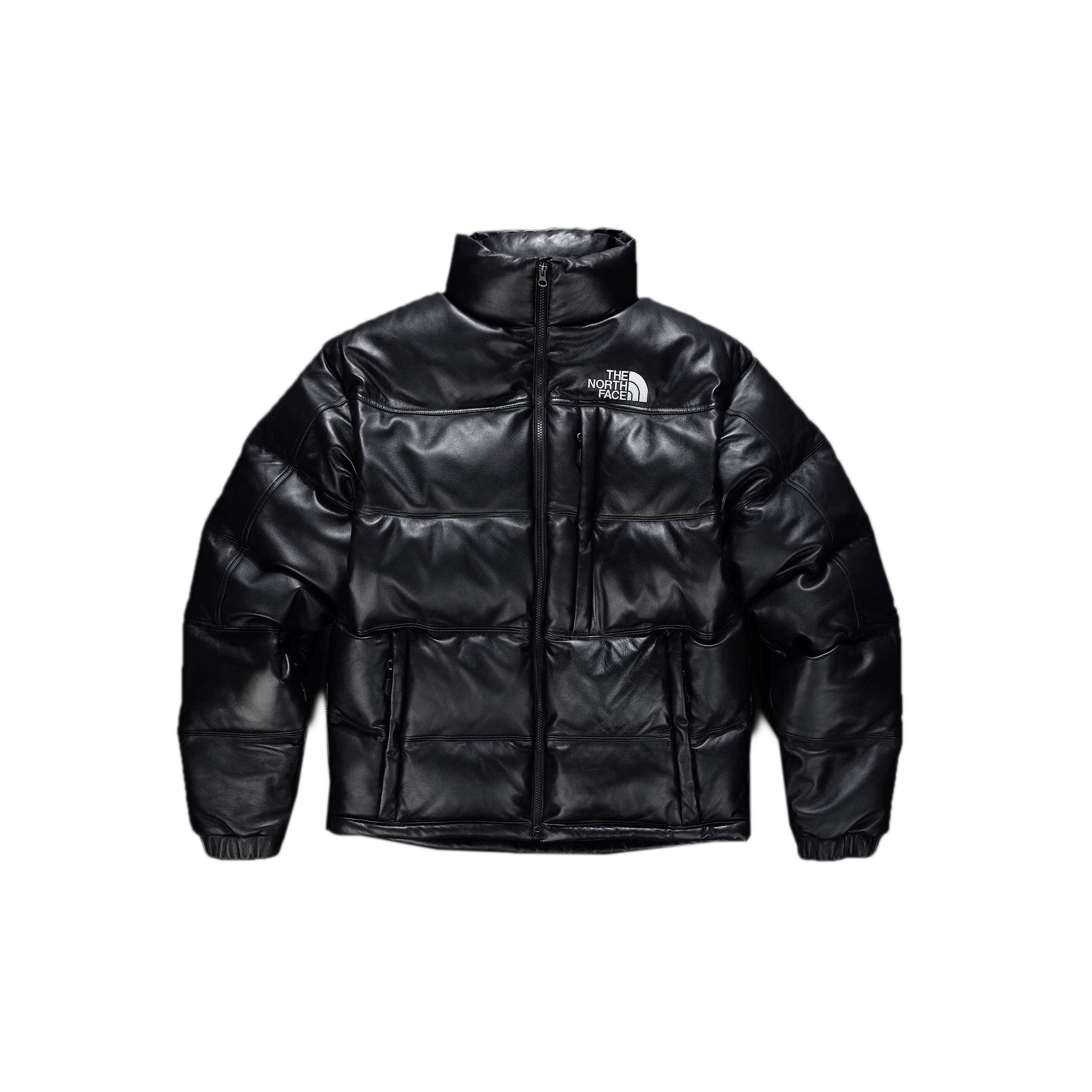 Mens Leather Pack Summit Jacket The north face оригінал – Купити в Україні – боковий вид