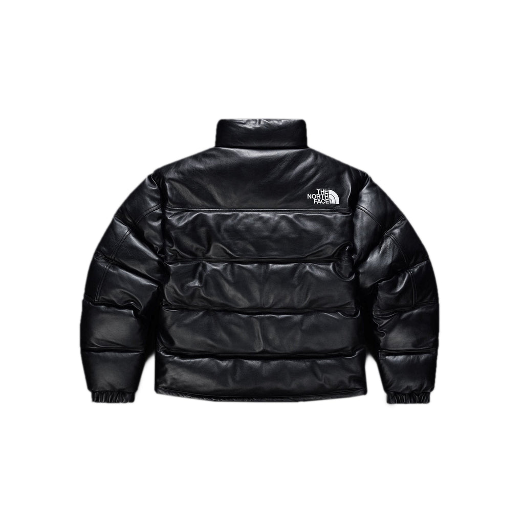 Mens Leather Pack Summit Jacket The north face оригінал – Купити в Україні – вид ззаду