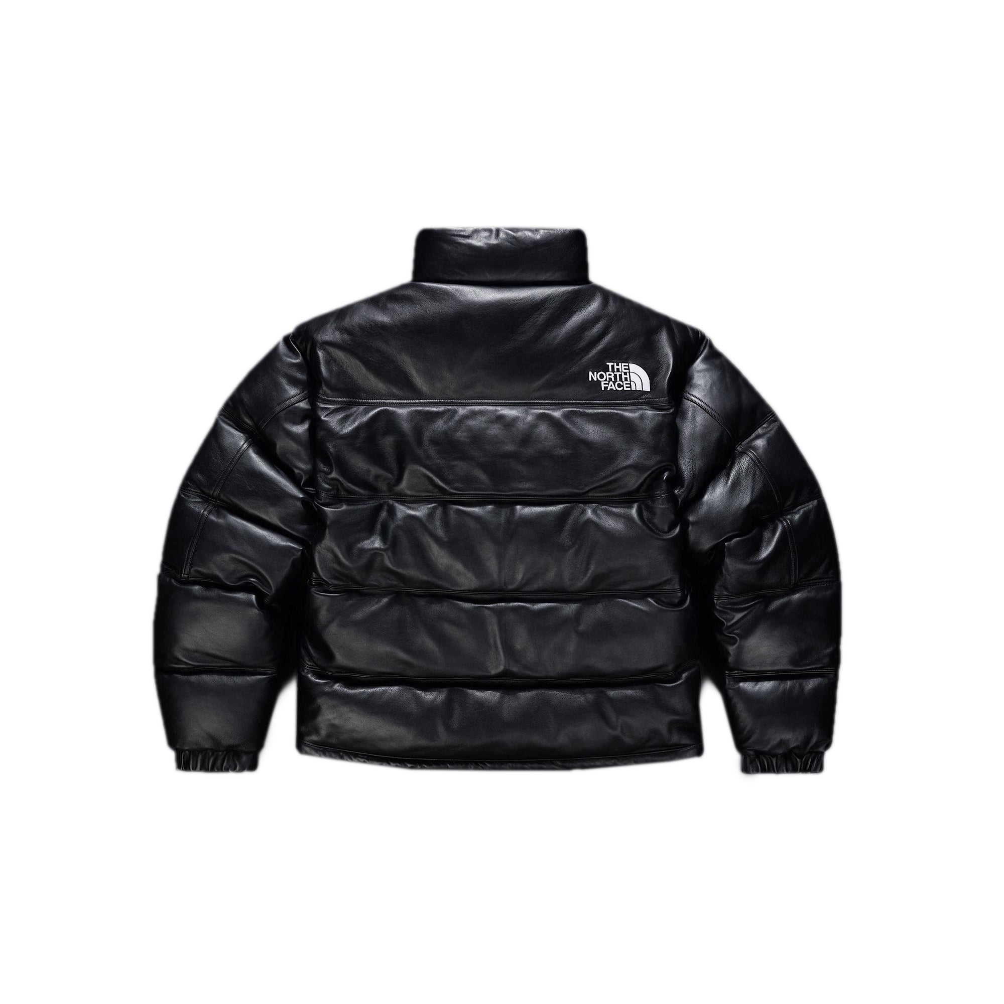 Mens Leather Pack Summit Jacket The north face оригінал – Купити в Україні – вид ззаду