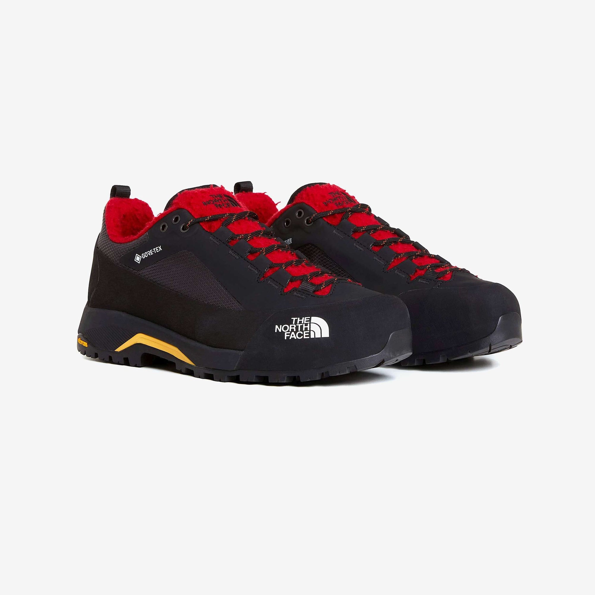 Оригінальна Verto Alpine Gore-Tex Casentino The north face – вид ззаду