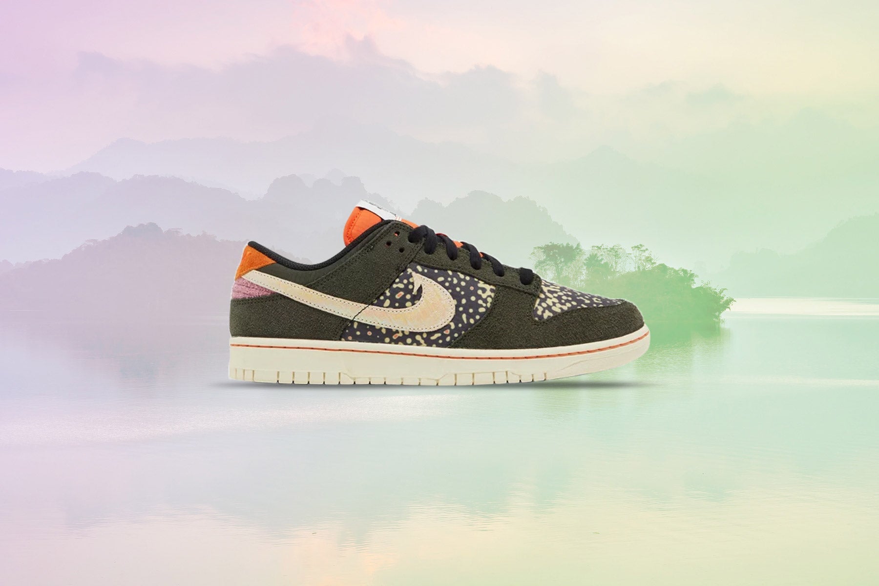 Оригінальна Dunk Low Retro Se Rainbow Trout Nike – вид ззаду