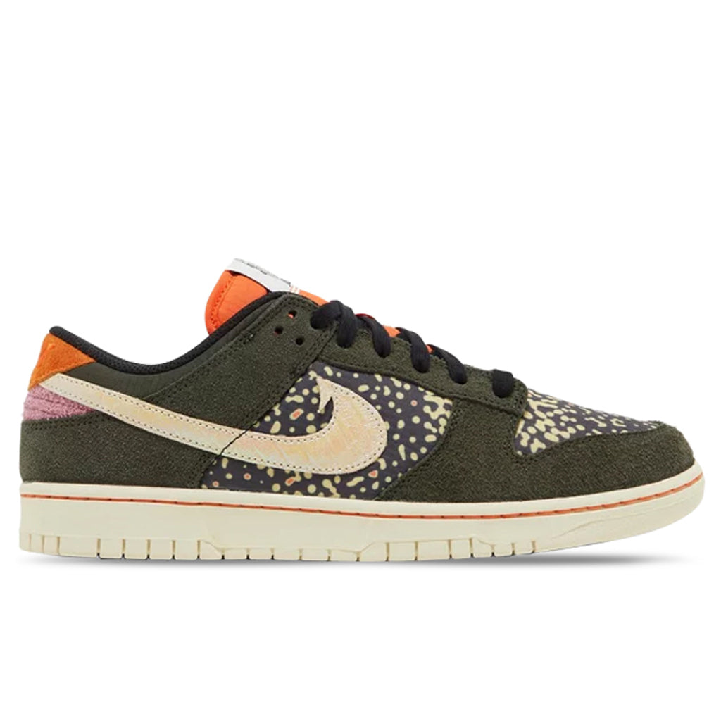 Оригінальна Dunk Low Retro Se Rainbow Trout Nike – боковий вид