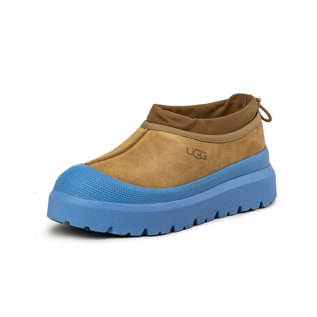 Tasman Weather Hybrid Ugg оригінал – Купити в Україні – вид ззаду