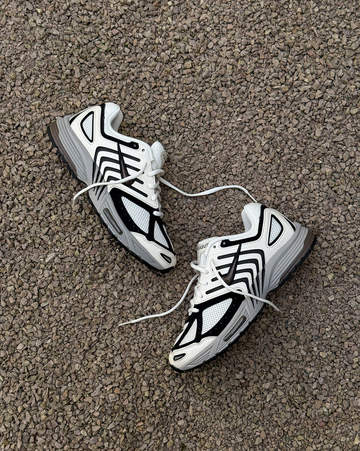 Air Pegasus 2005 Nike – Гарантія оригінальності – вид ззаду