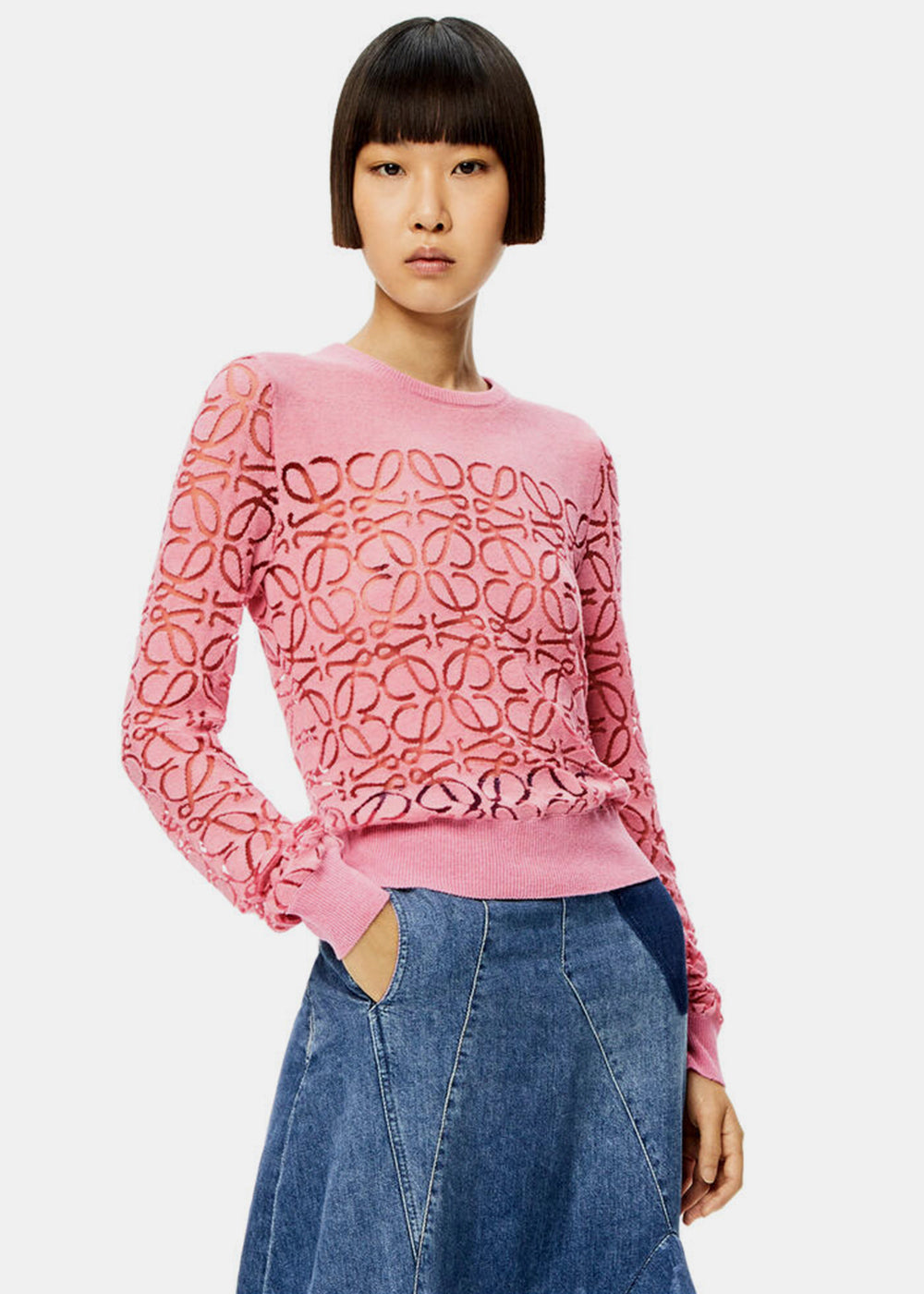 Оригінальна Pink Anagram Devore Sweater Loewe – вид ззаду