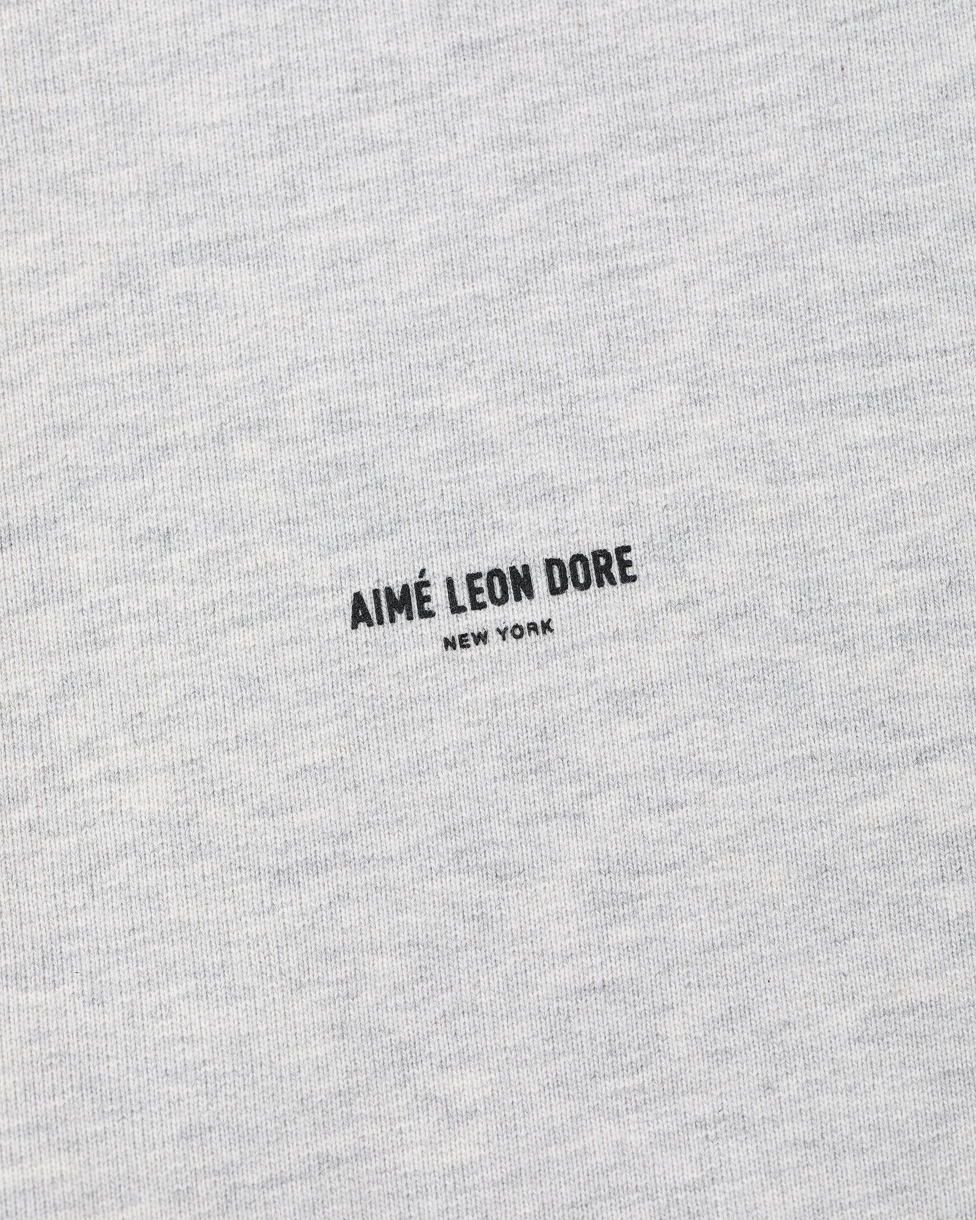 Micro Logo Hoodie Aime leon dore – Гарантія оригінальності – збільшений вид