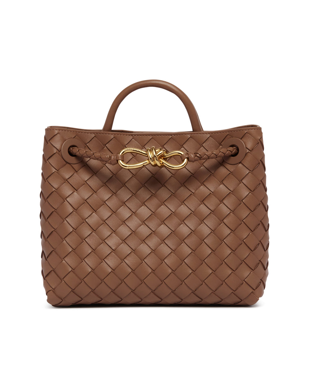 Brown Small Andiamo Bag Bottega veneta – Гарантія оригінальності – вид ззаду