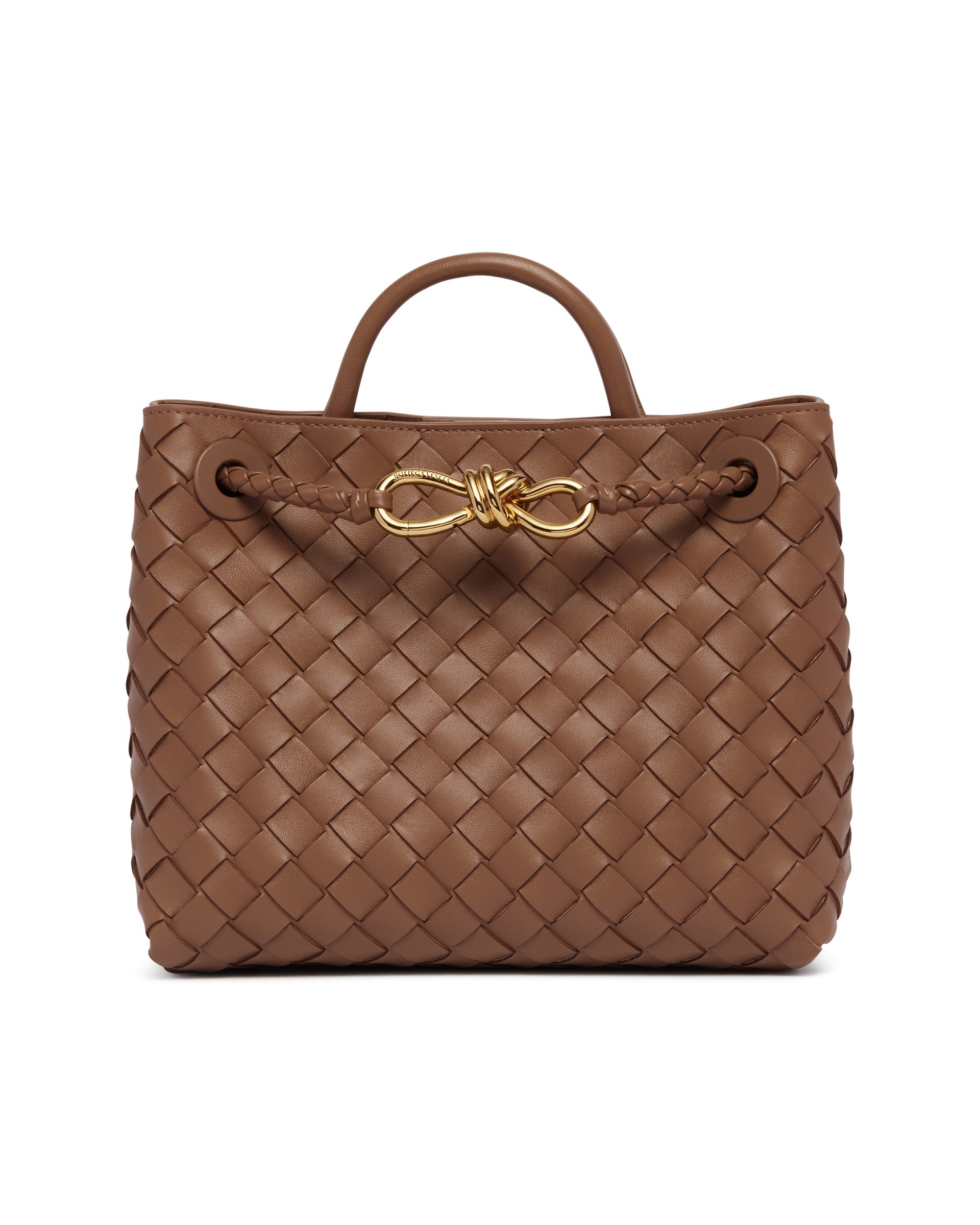 Brown Small Andiamo Bag Bottega veneta – Гарантія оригінальності – вид ззаду