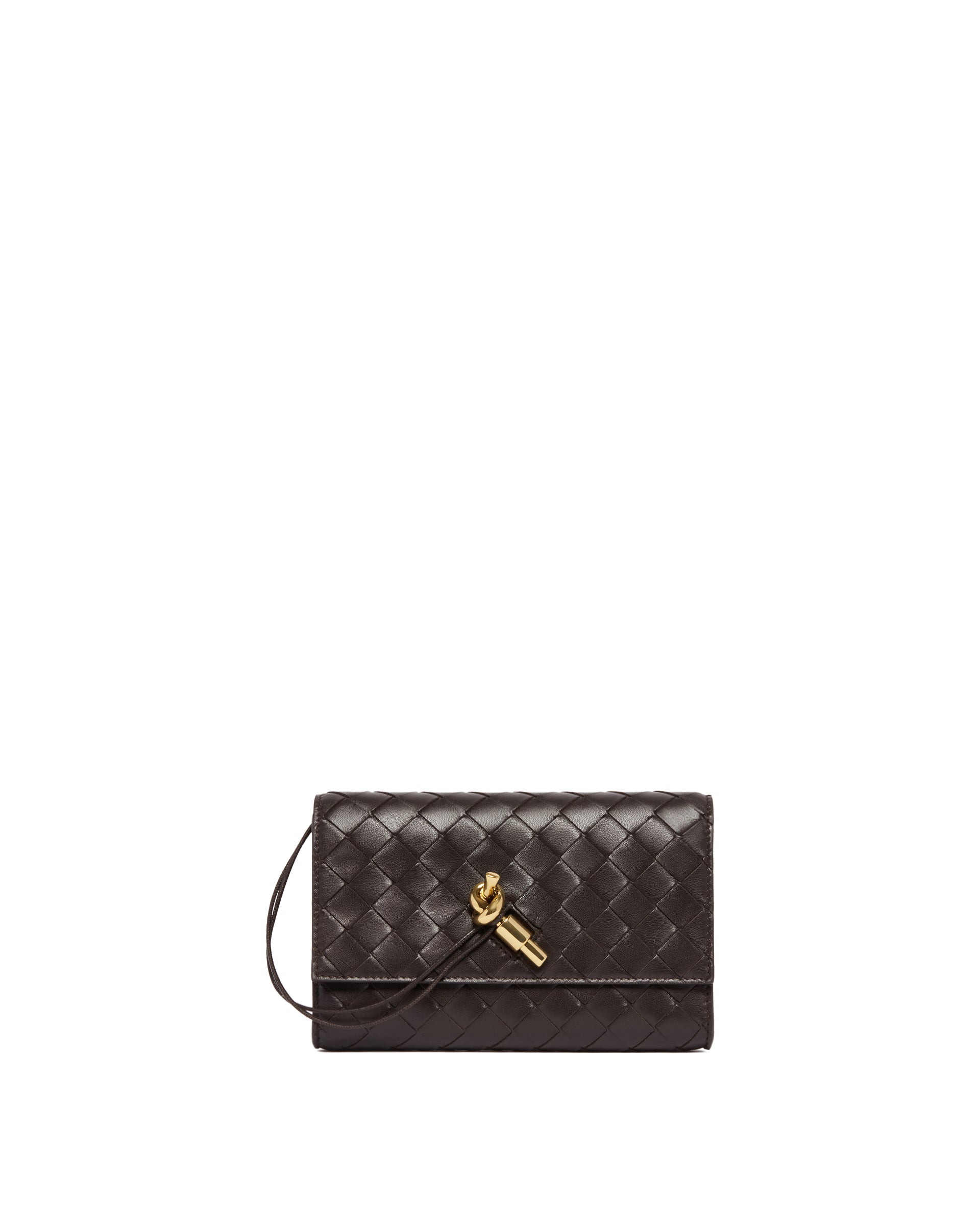Brown Andiamo Pouch Bottega veneta оригінал – Купити в Україні – боковий вид