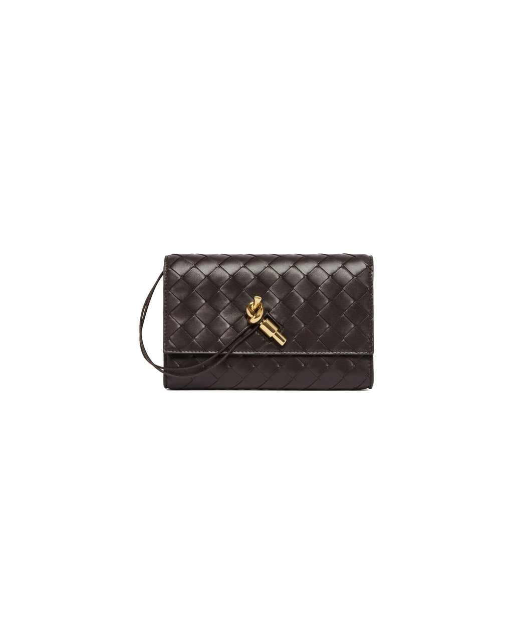 Brown Andiamo Pouch Bottega veneta оригінал – Купити в Україні – вид ззаду