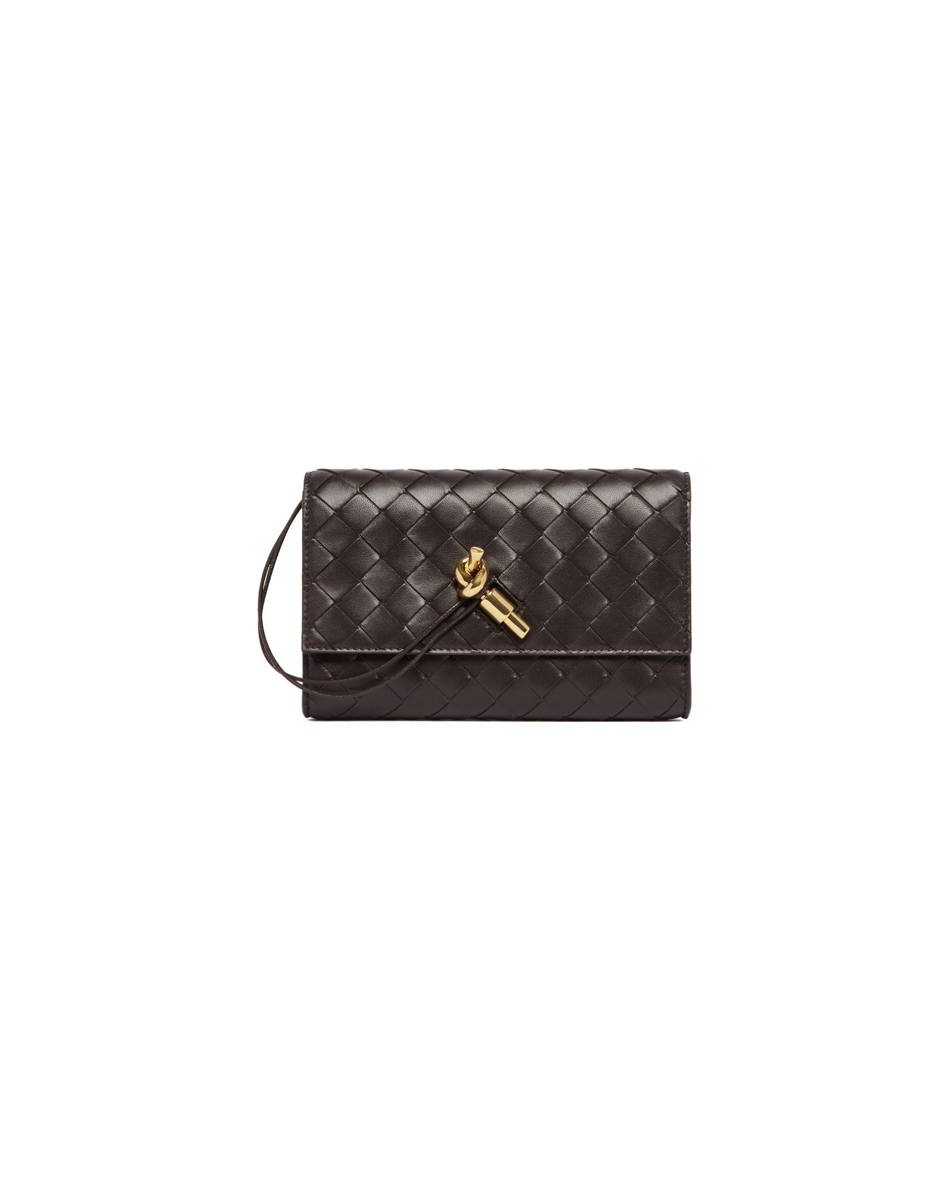 Brown Andiamo Pouch Bottega veneta оригінал – Купити в Україні – вид ззаду
