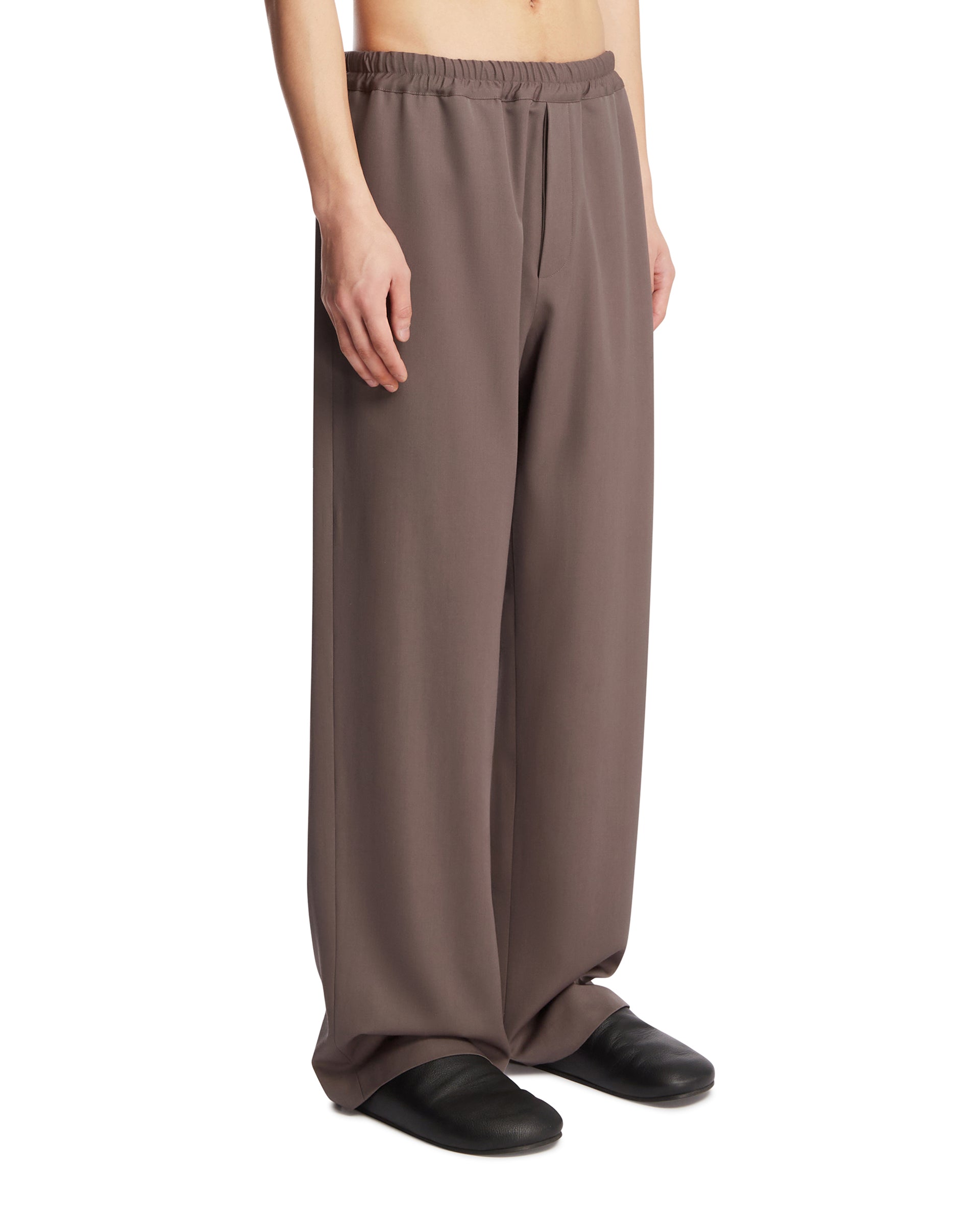 Оригінальна Gray Ari Wool Pants The row – вид ззаду