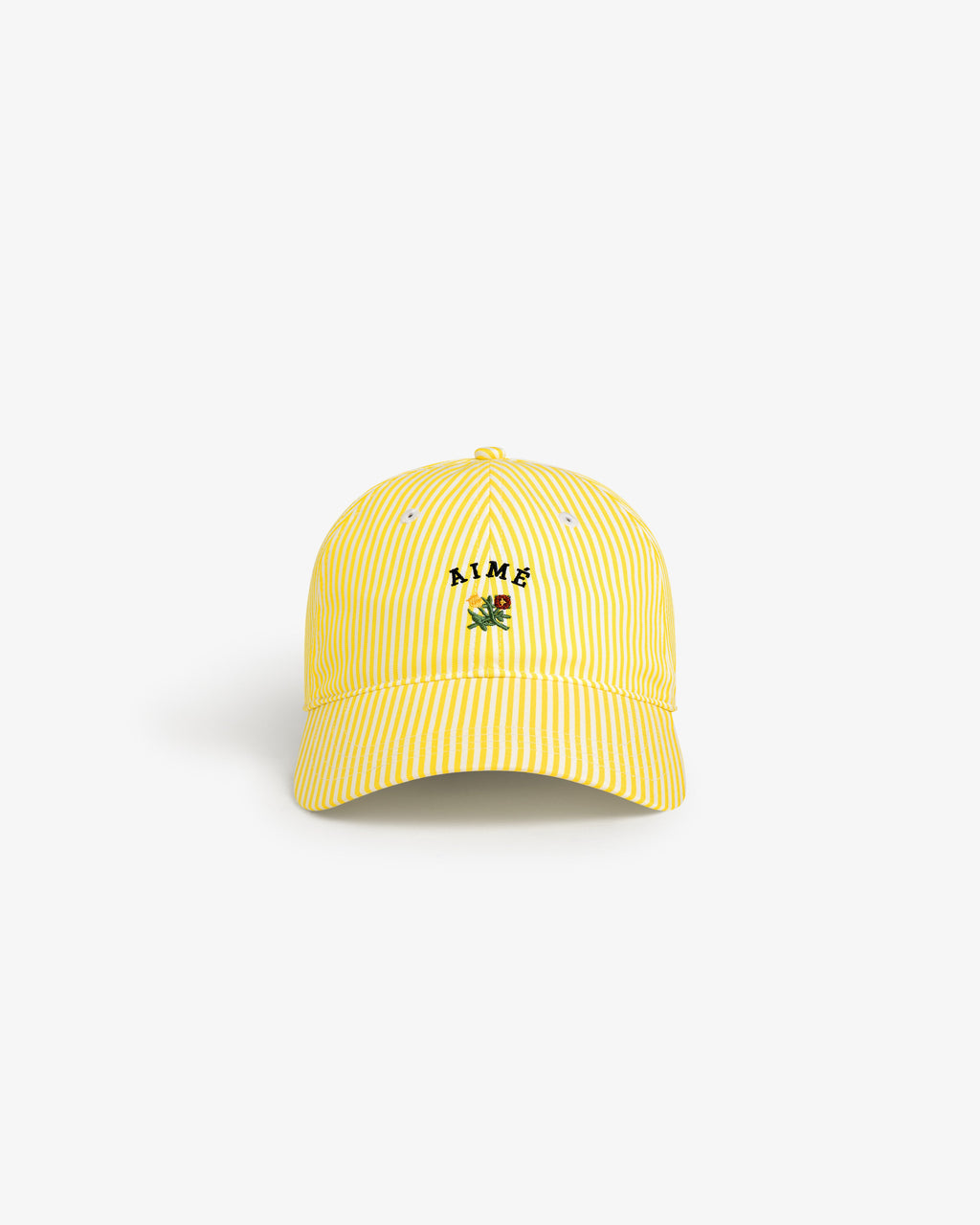 Striped Crest Logo Hat Aime leon dore оригінал – Купити в Україні – вид ззаду