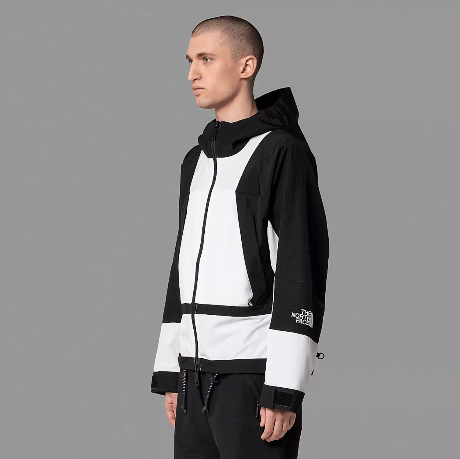 Оригінальна Black Series Mens Mountain Light Jacket The north face – детальний вид