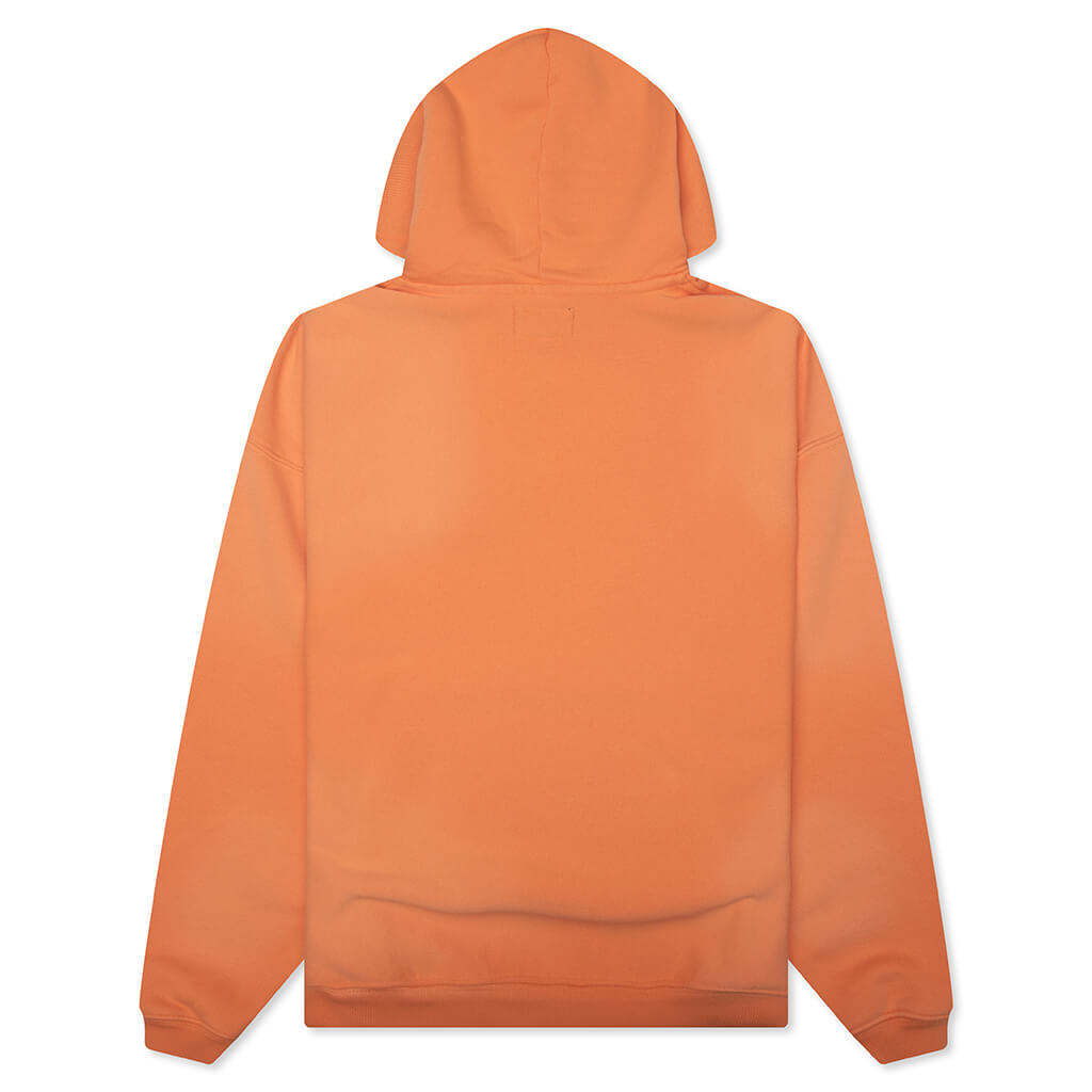 Stu Applique Hood Stussy – Гарантія оригінальності – вид ззаду