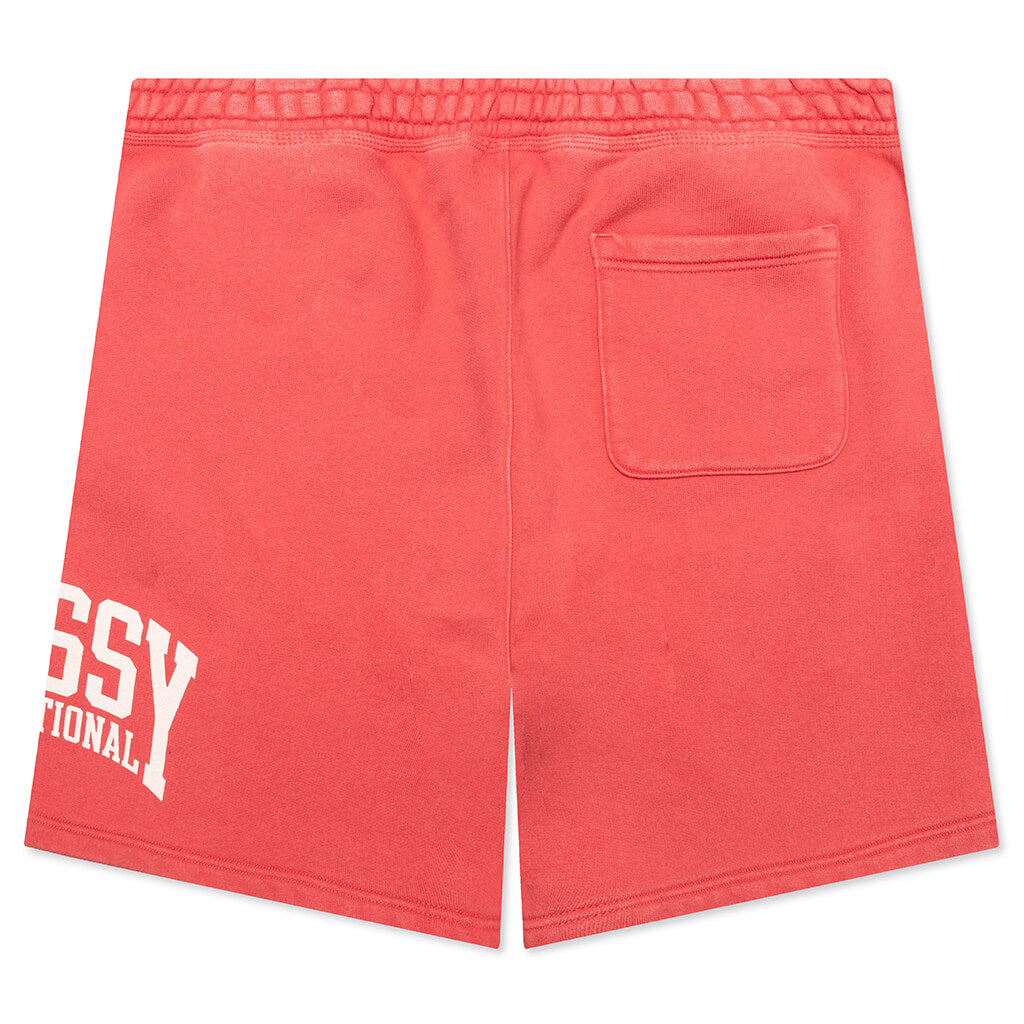 Intl Short Washed Red Stussy оригінал – Купити в Україні – вид ззаду