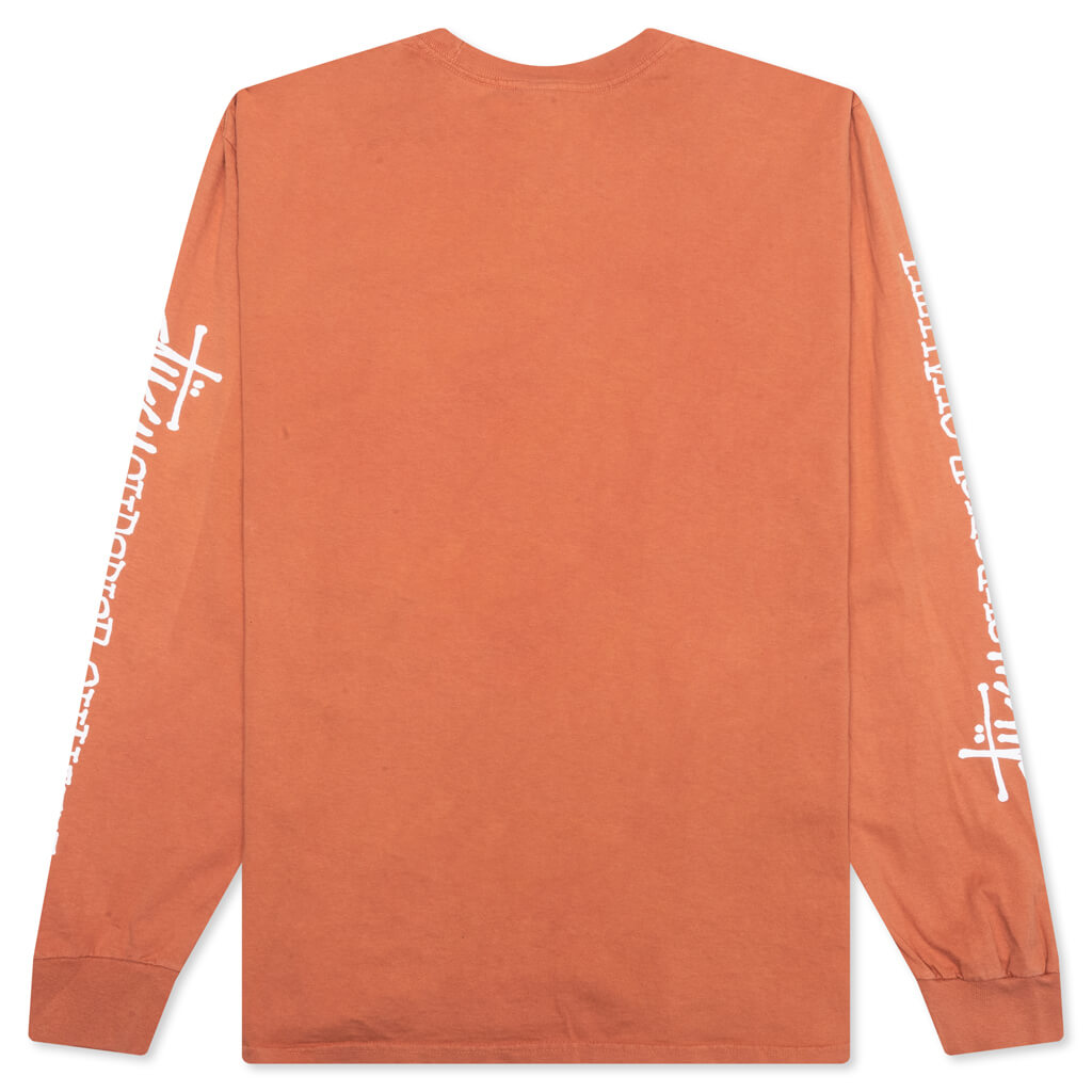 Superior Quality Pig. Dyed Ls Stussy оригінал – Купити в Україні – вид ззаду