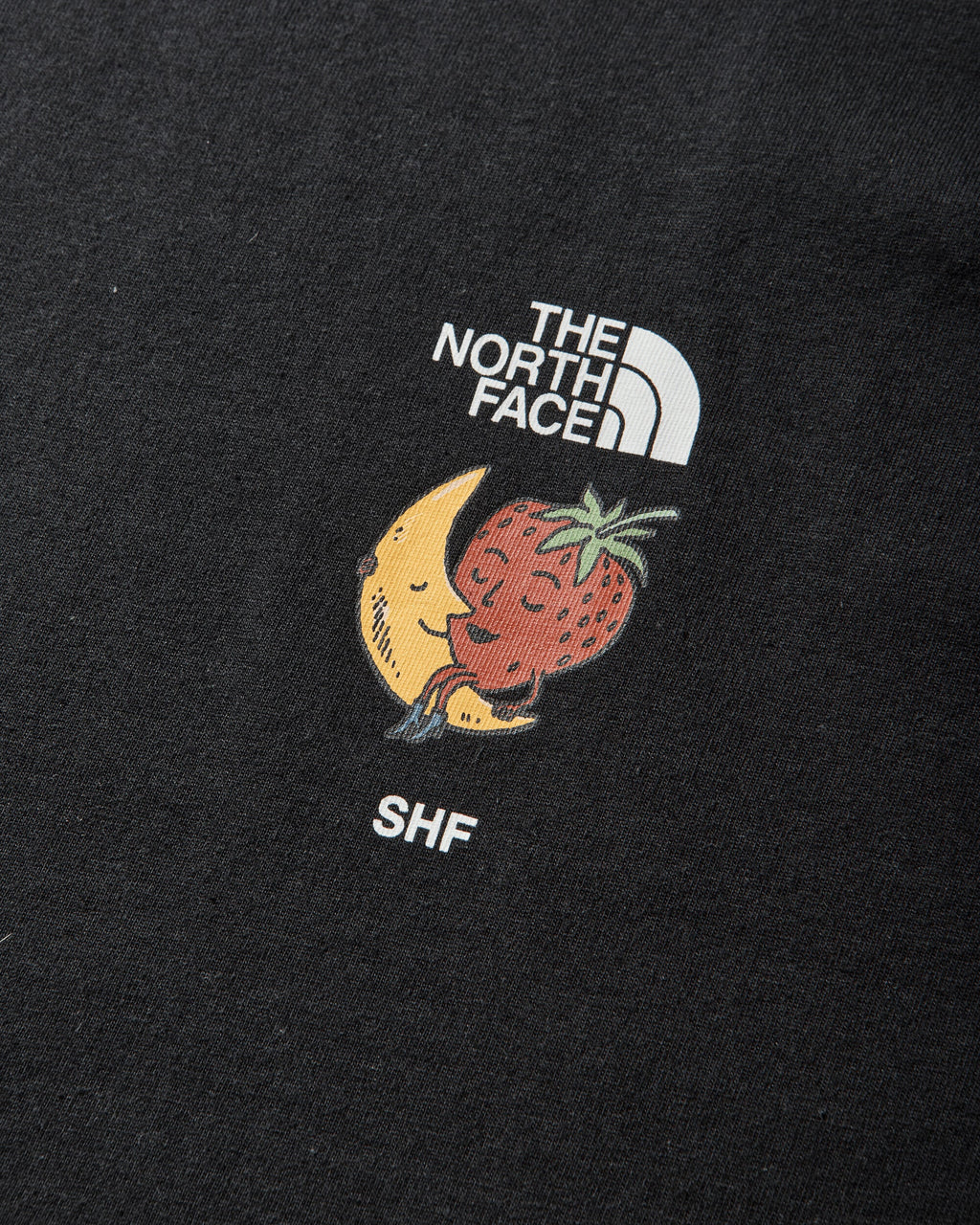 Sky High Farm Goods T-Shirt Black The north face – Гарантія оригінальності – збільшений вид