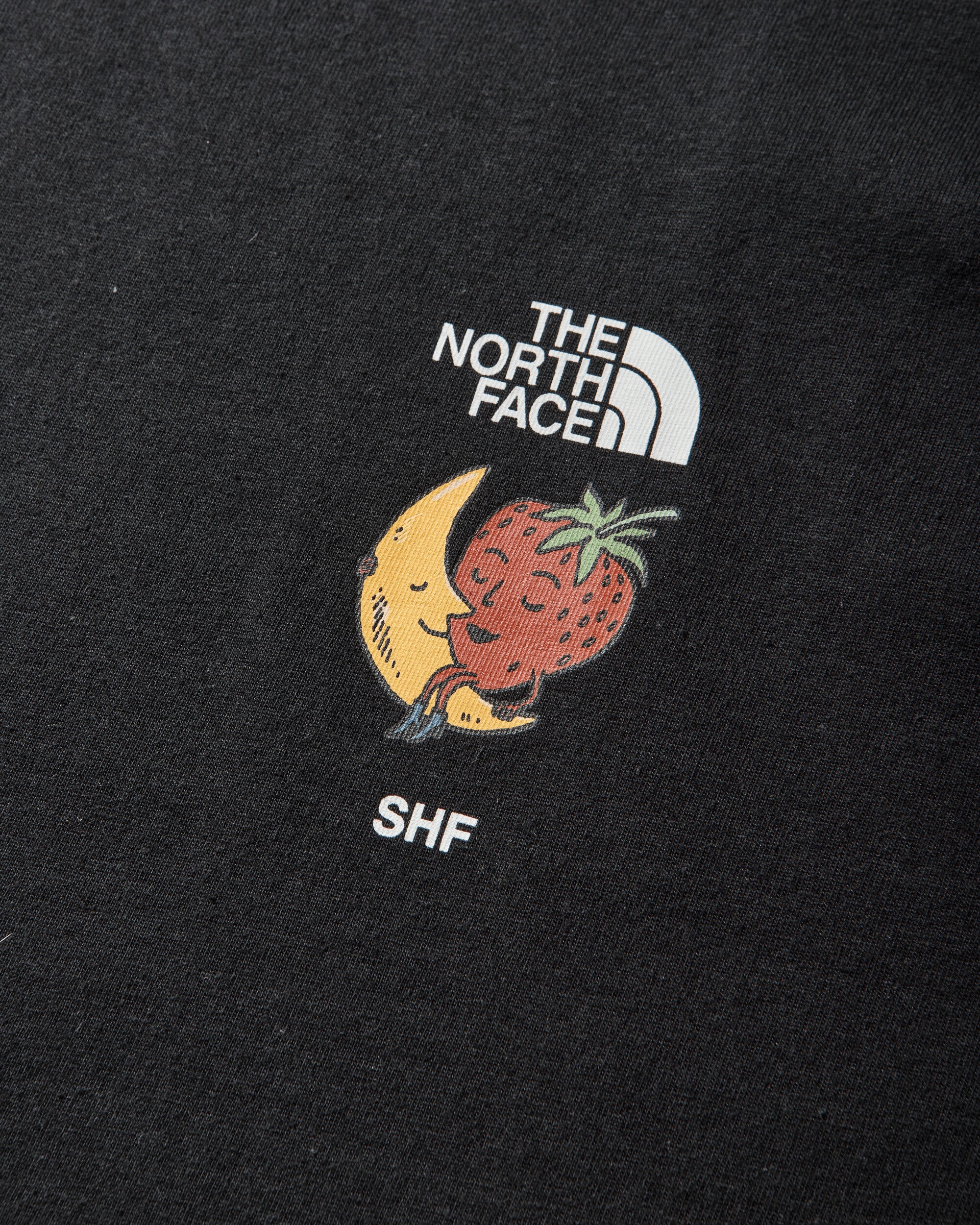 Sky High Farm Goods T-Shirt Black The north face – Гарантія оригінальності – збільшений вид