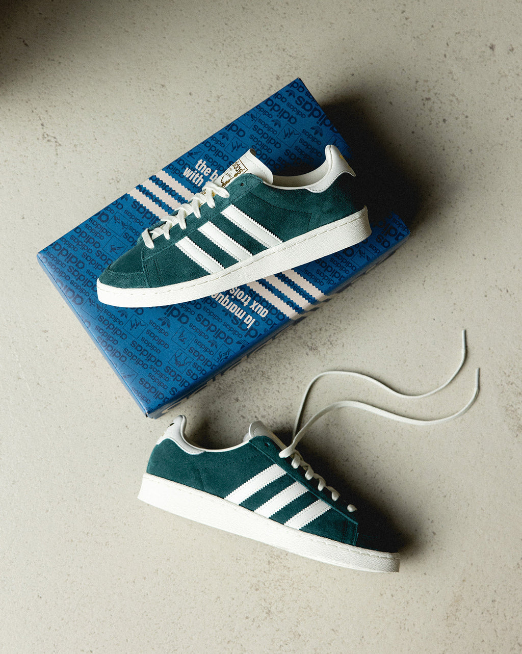 Оригінальна Jabbar Low Adidas – вид ззаду