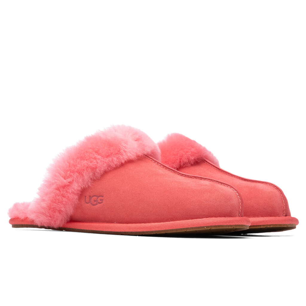 Womens Scuffette II Slipper Ugg – Гарантія оригінальності – вид ззаду