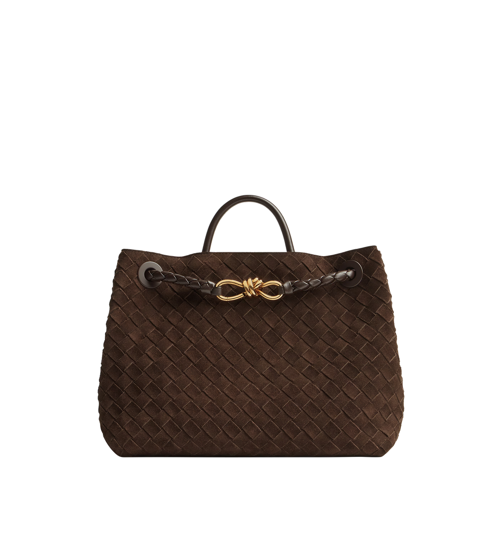 Medium Andiamo Bag Bottega veneta – Гарантія оригінальності – боковий вид