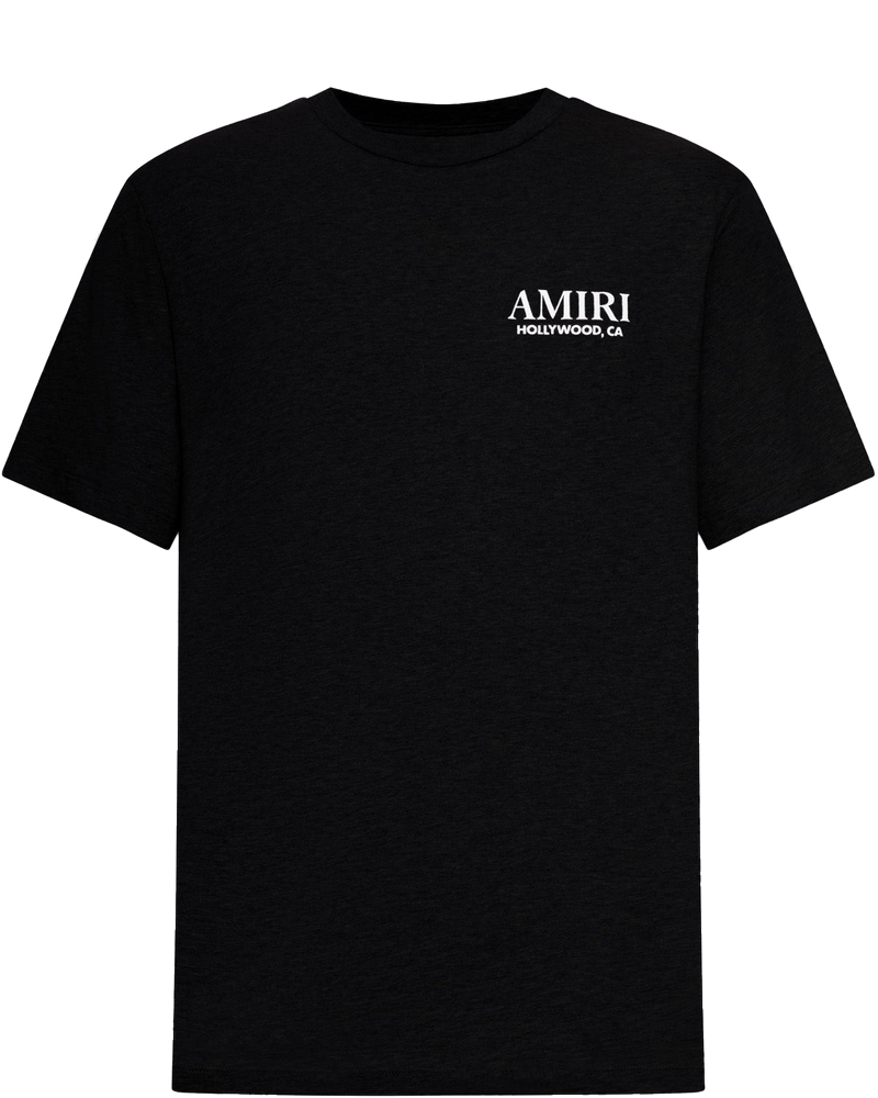 Оригінальна Bones Stacked Tee Amiri