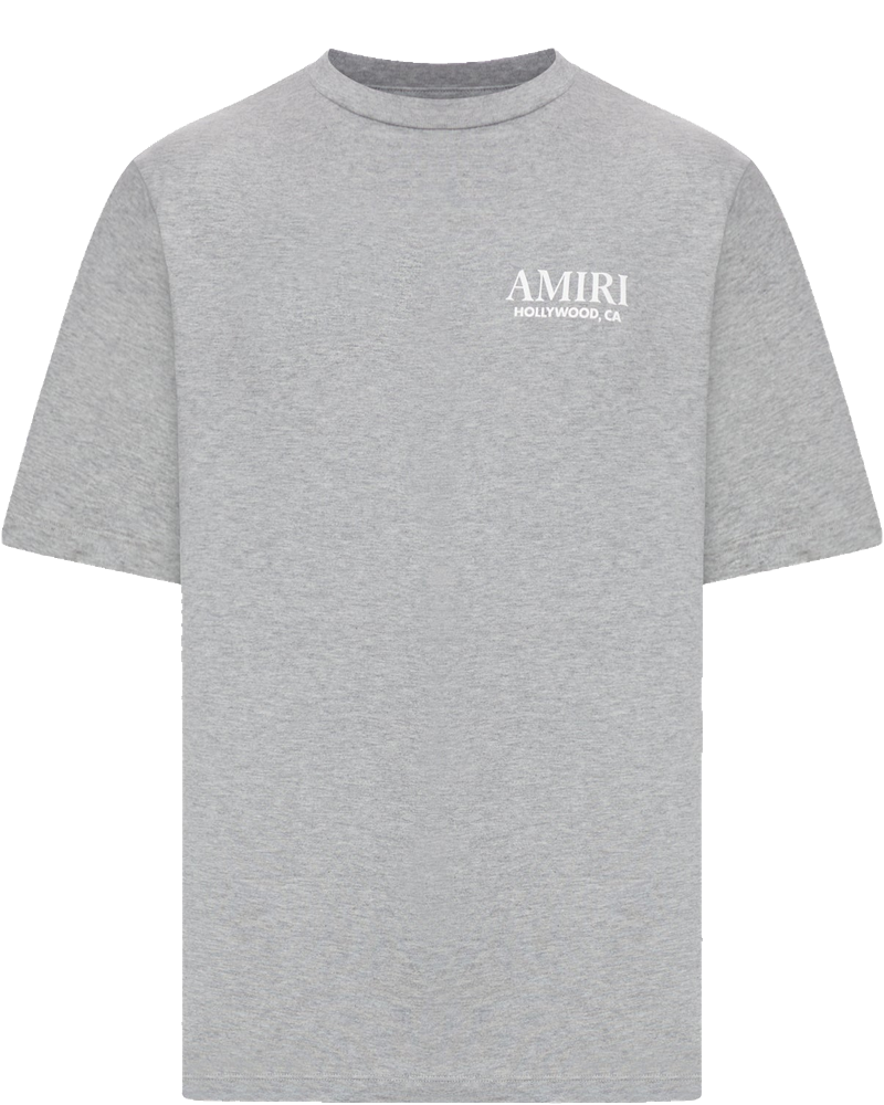 Оригінальна Bones Stacked Tee Amiri