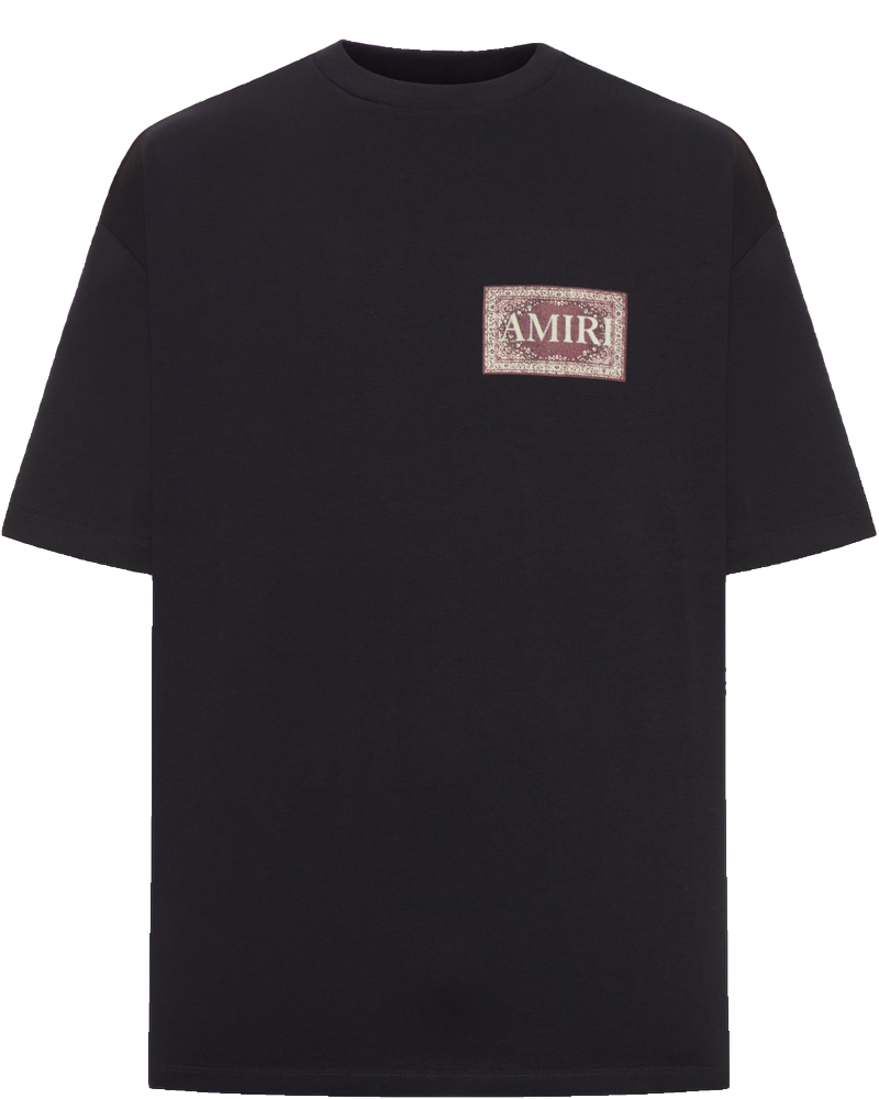 Оригінальна Crew Neck Cotton T-Shirt With Print Amiri
