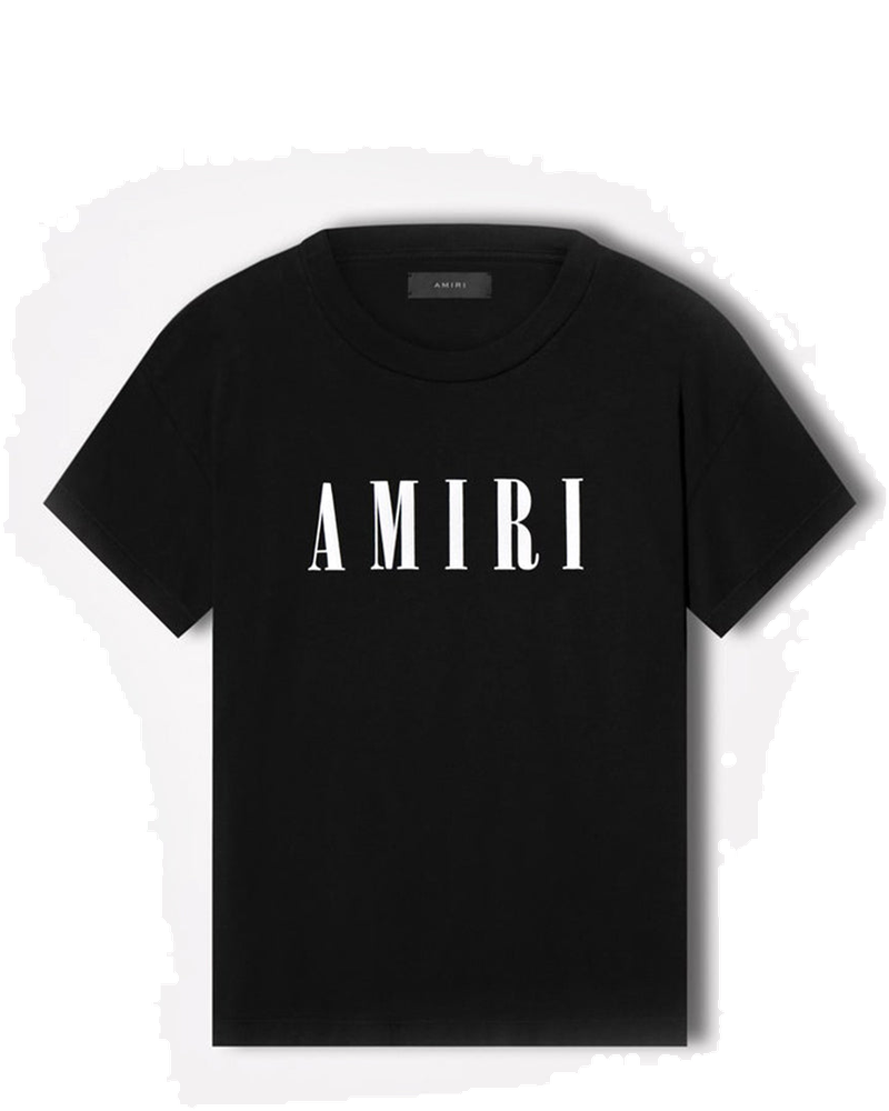 Оригінальна Black Core Logo T-Shirt Amiri